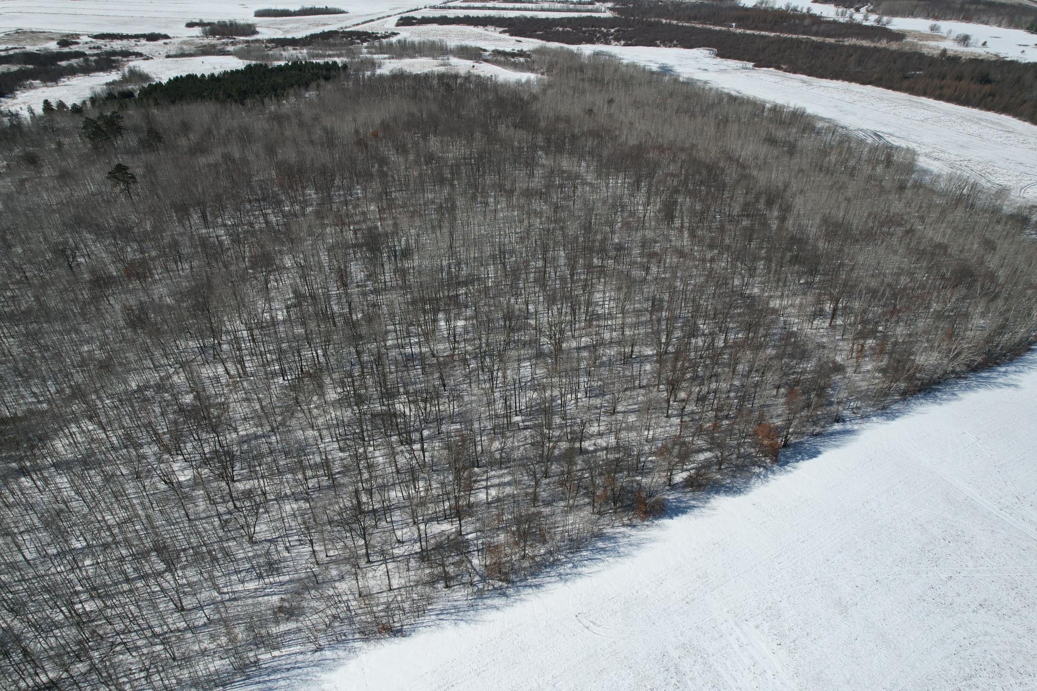 1911 land for sale at TBD County Road 14 in Sebeka, MN (photo 11 of 87)