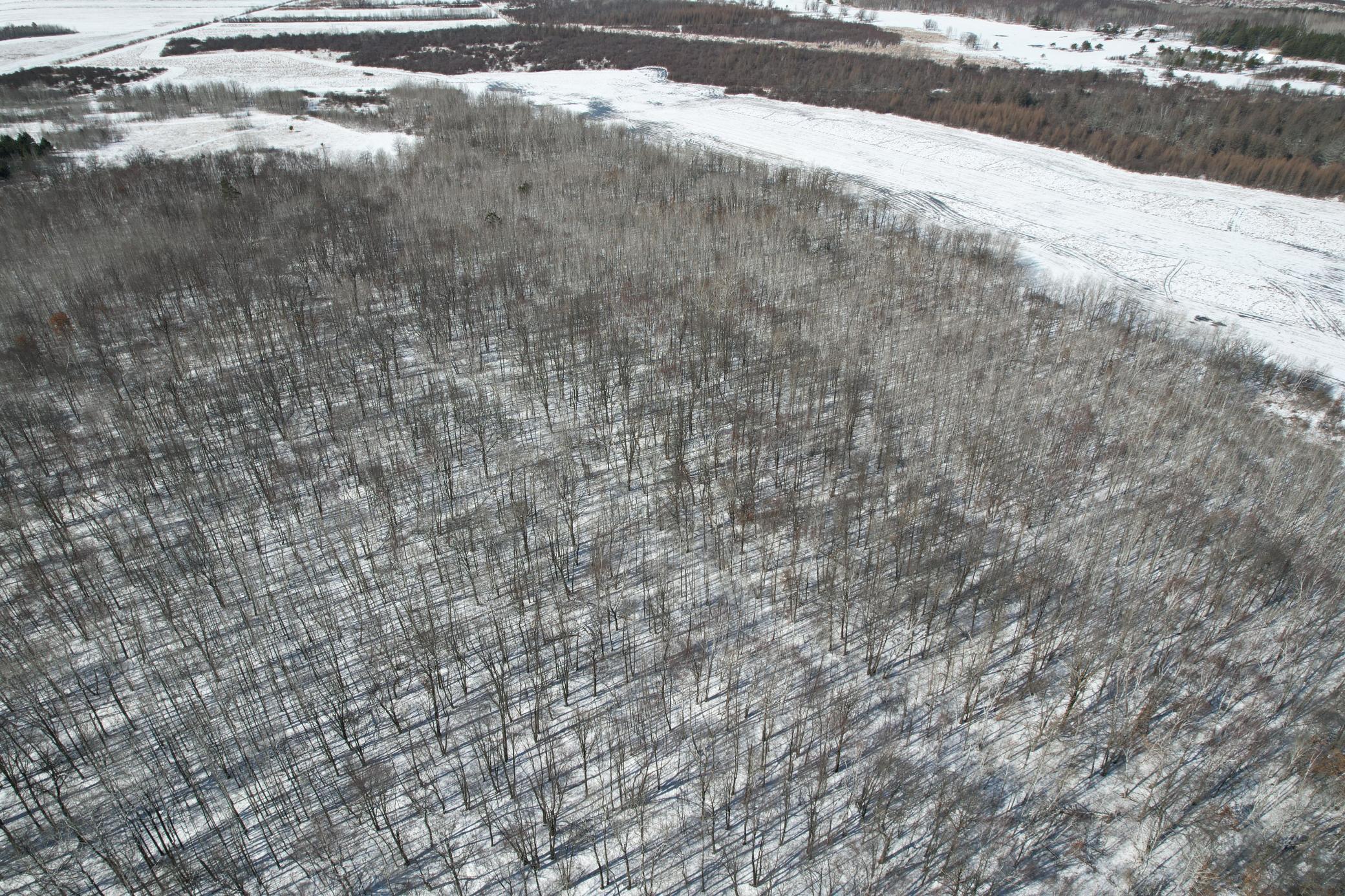 1911 land for sale at TBD County Road 14 in Sebeka, MN (photo 12 of 87)
