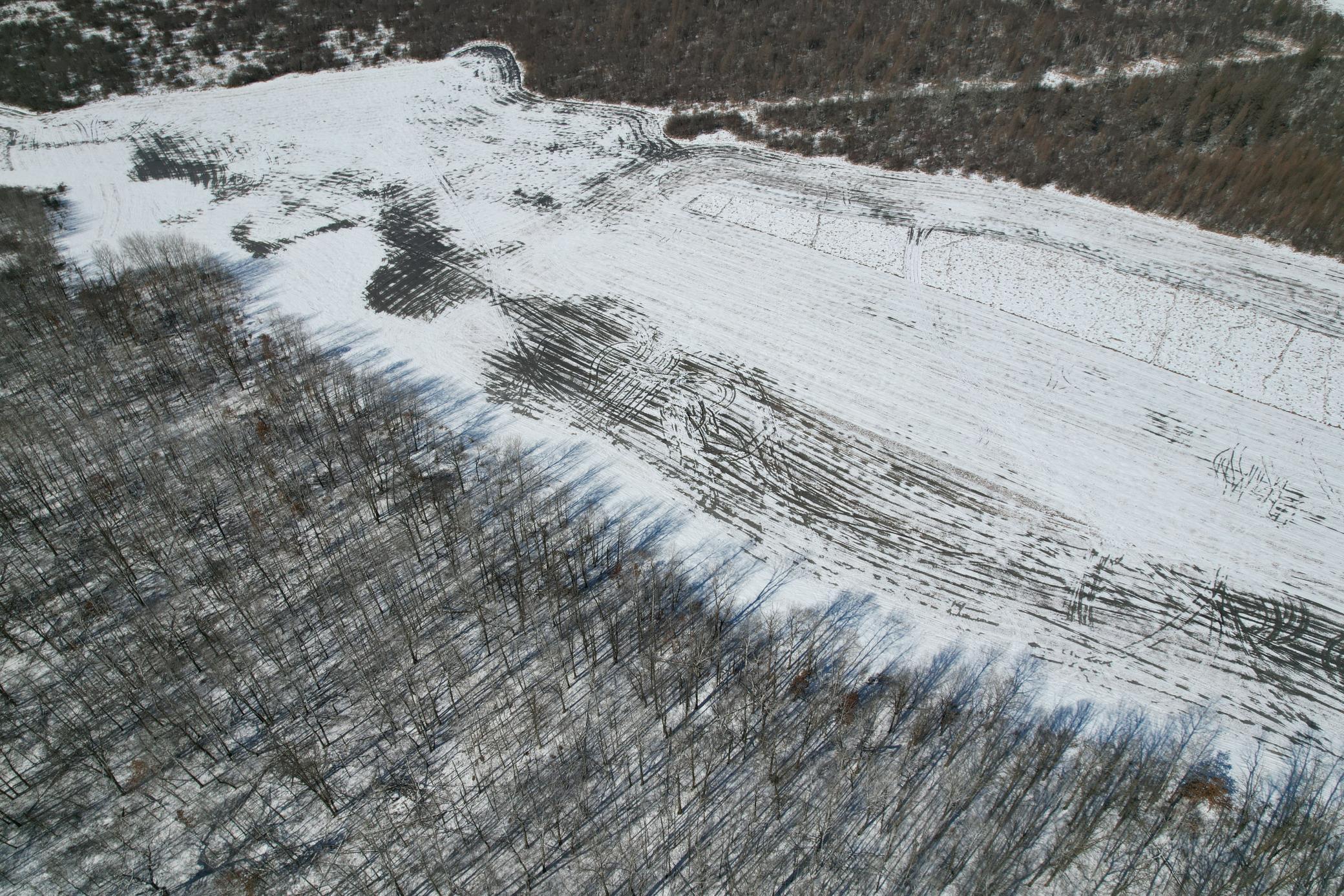 1911 land for sale at TBD County Road 14 in Sebeka, MN (photo 13 of 87)