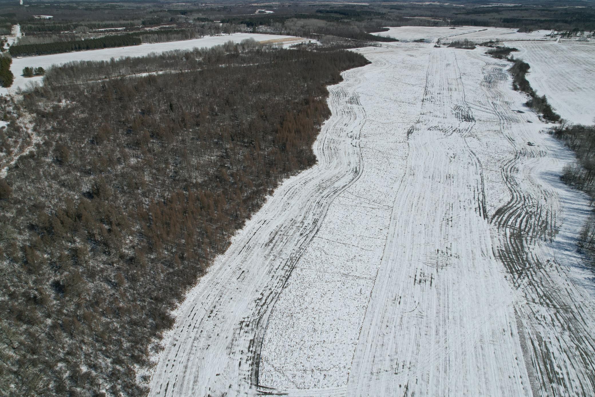 1911 land for sale at TBD County Road 14 in Sebeka, MN (photo 14 of 87)