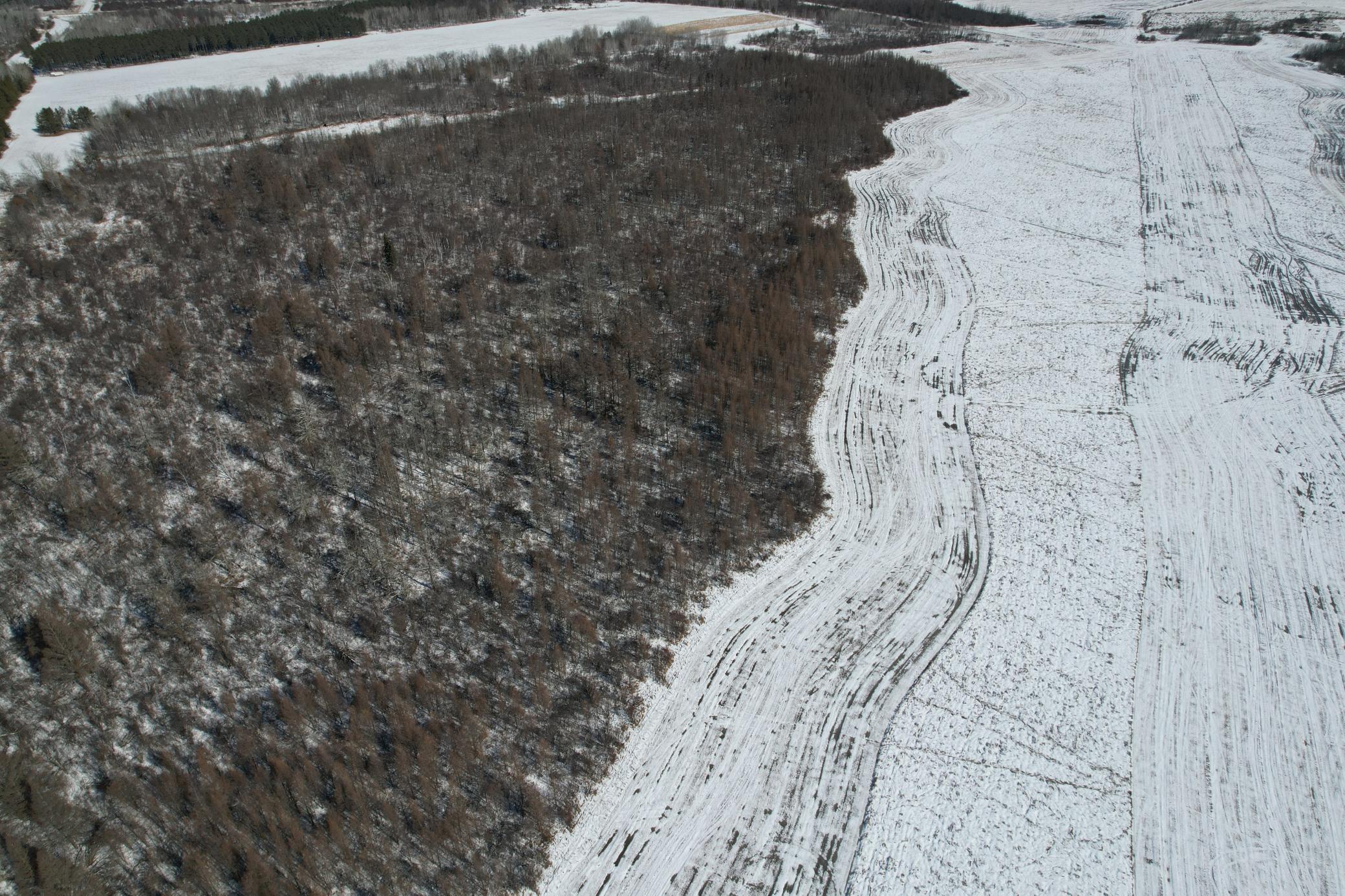 1911 land for sale at TBD County Road 14 in Sebeka, MN (photo 15 of 87)