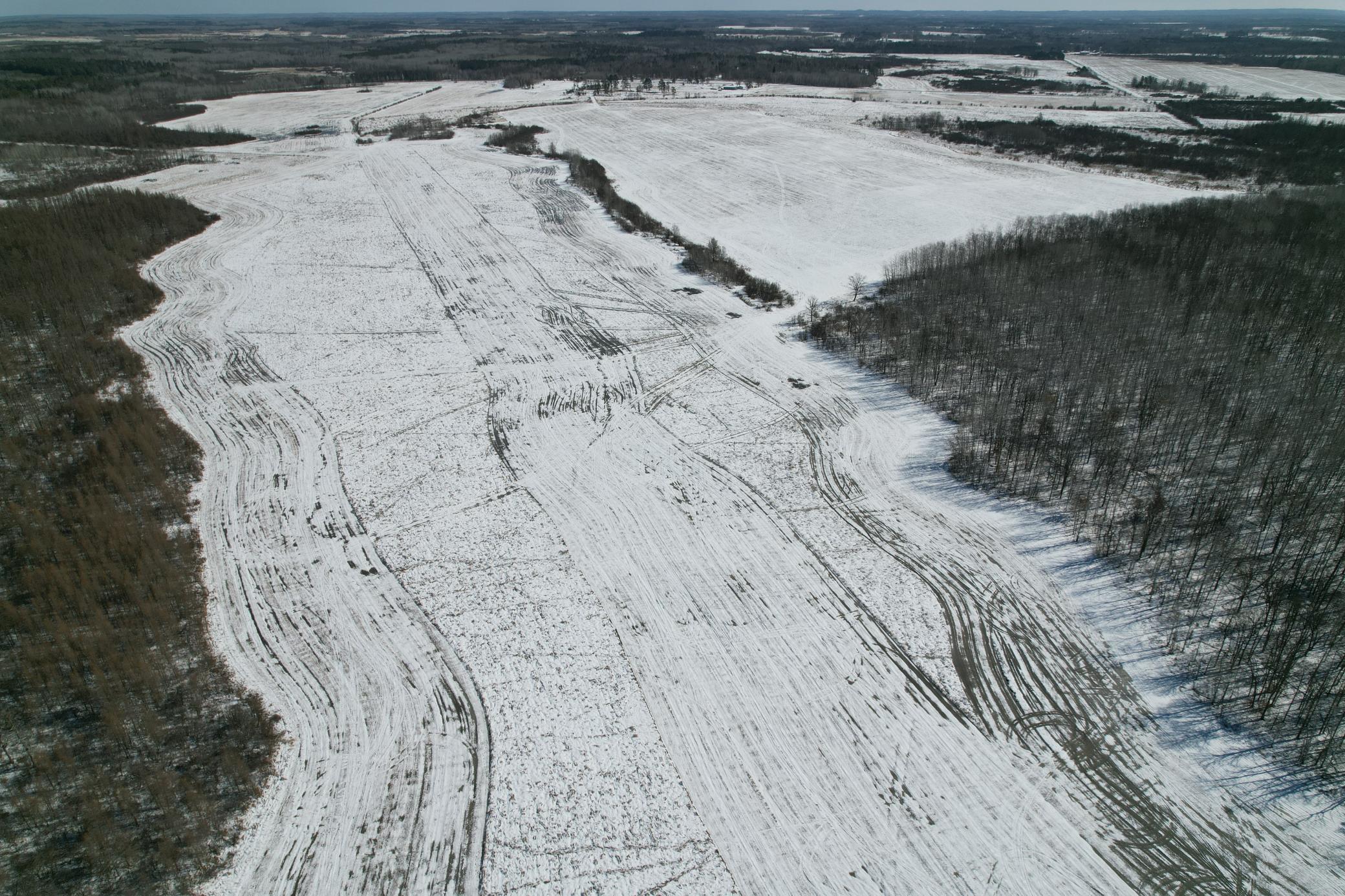1911 land for sale at TBD County Road 14 in Sebeka, MN (photo 16 of 87)