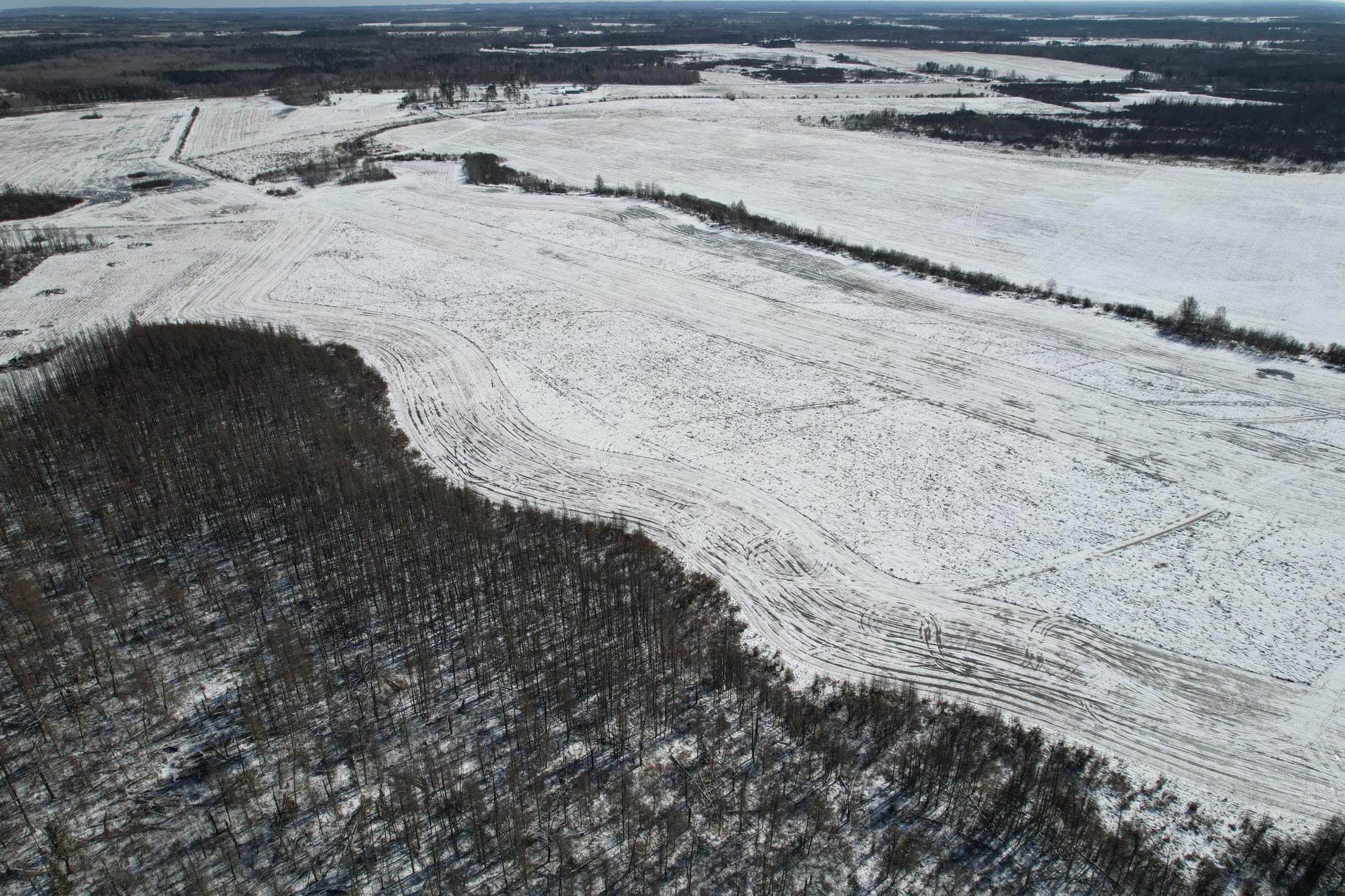1911 land for sale at TBD County Road 14 in Sebeka, MN (photo 18 of 87)
