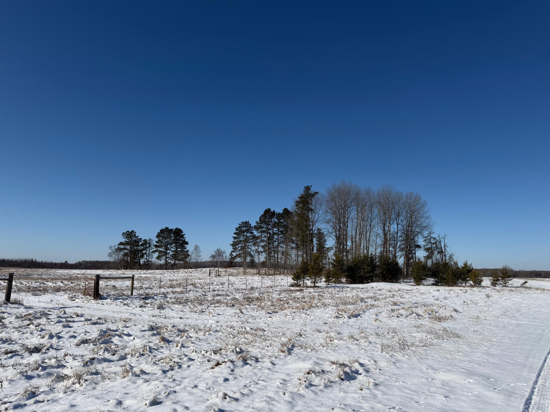 1911 land for sale at TBD County Road 14 in Sebeka, MN (photo 28 of 87)