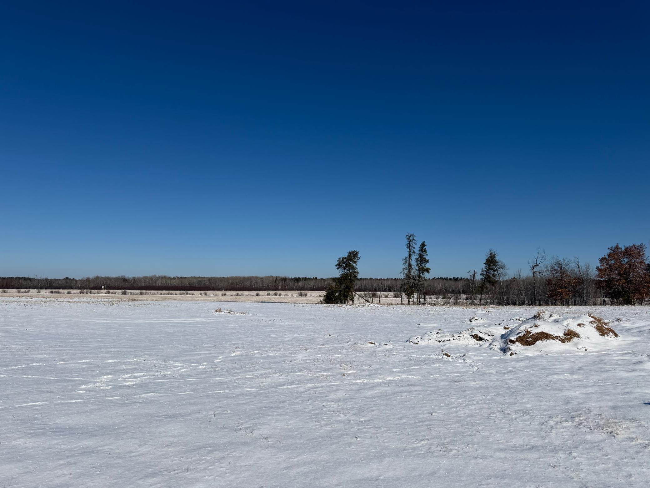 1911 land for sale at TBD County Road 14 in Sebeka, MN (photo 29 of 87)