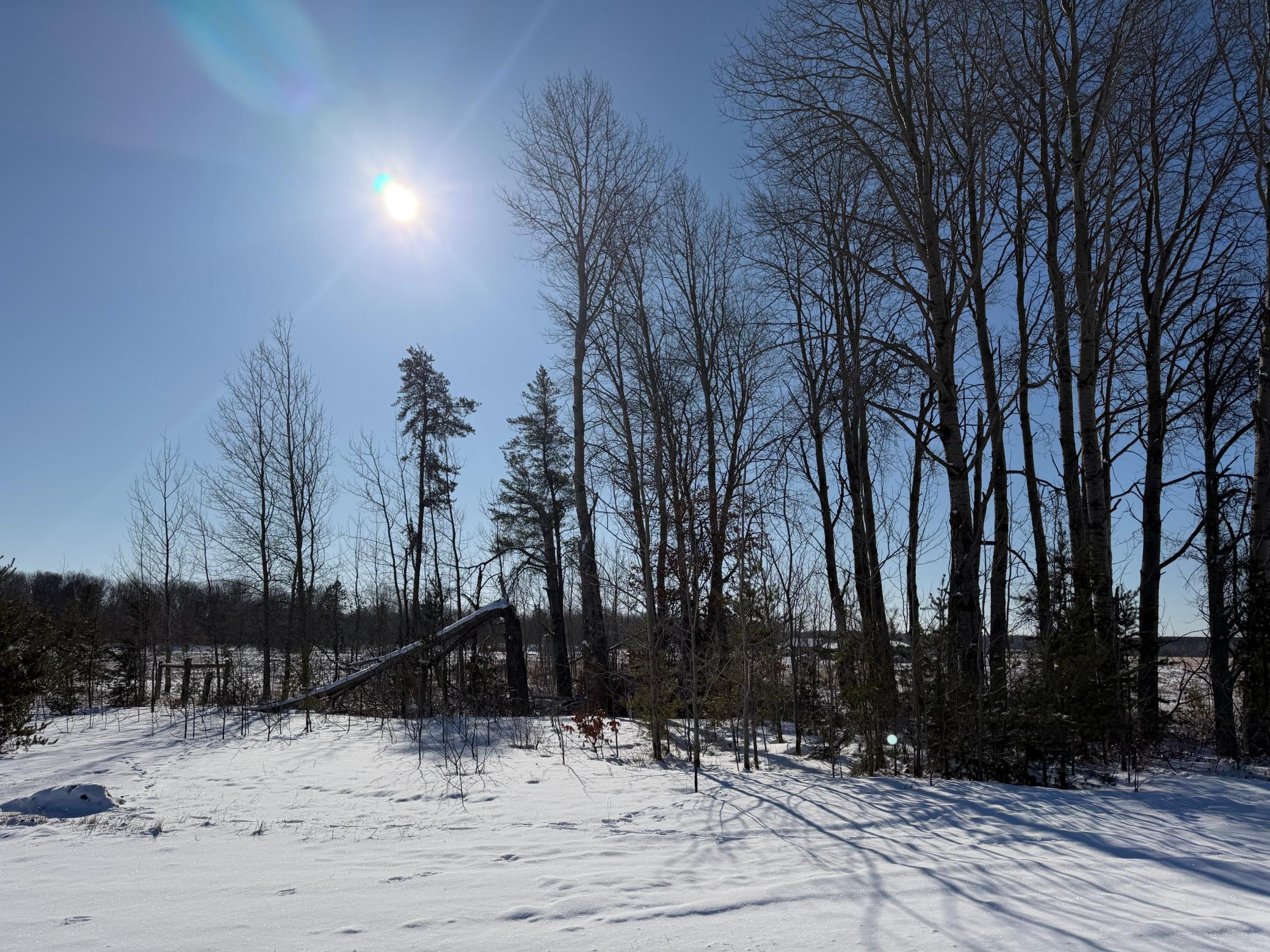 1911 land for sale at TBD County Road 14 in Sebeka, MN (photo 30 of 87)