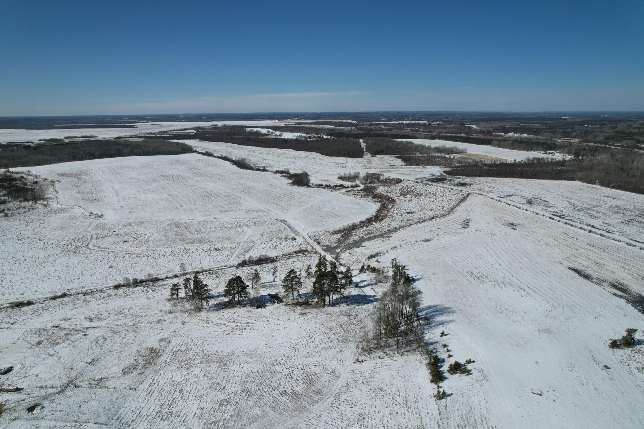 1911 land for sale at TBD County Road 14 in Sebeka, MN (photo 4 of 87)