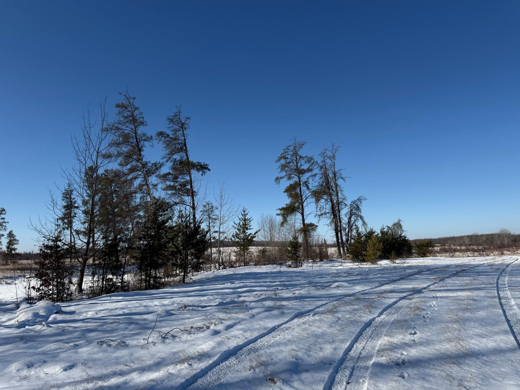 1911 land for sale at TBD County Road 14 in Sebeka, MN (photo 31 of 87)