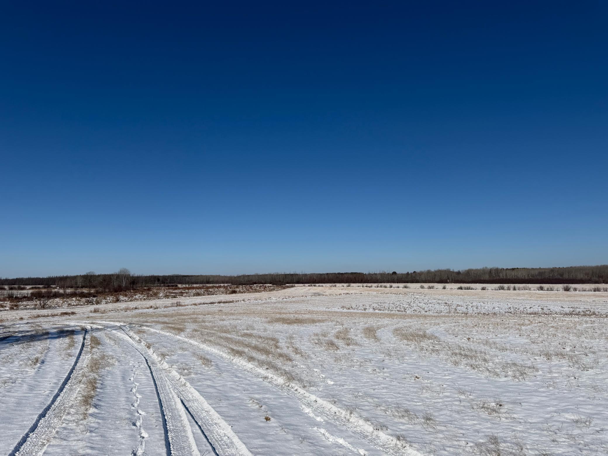 1911 land for sale at TBD County Road 14 in Sebeka, MN (photo 32 of 87)