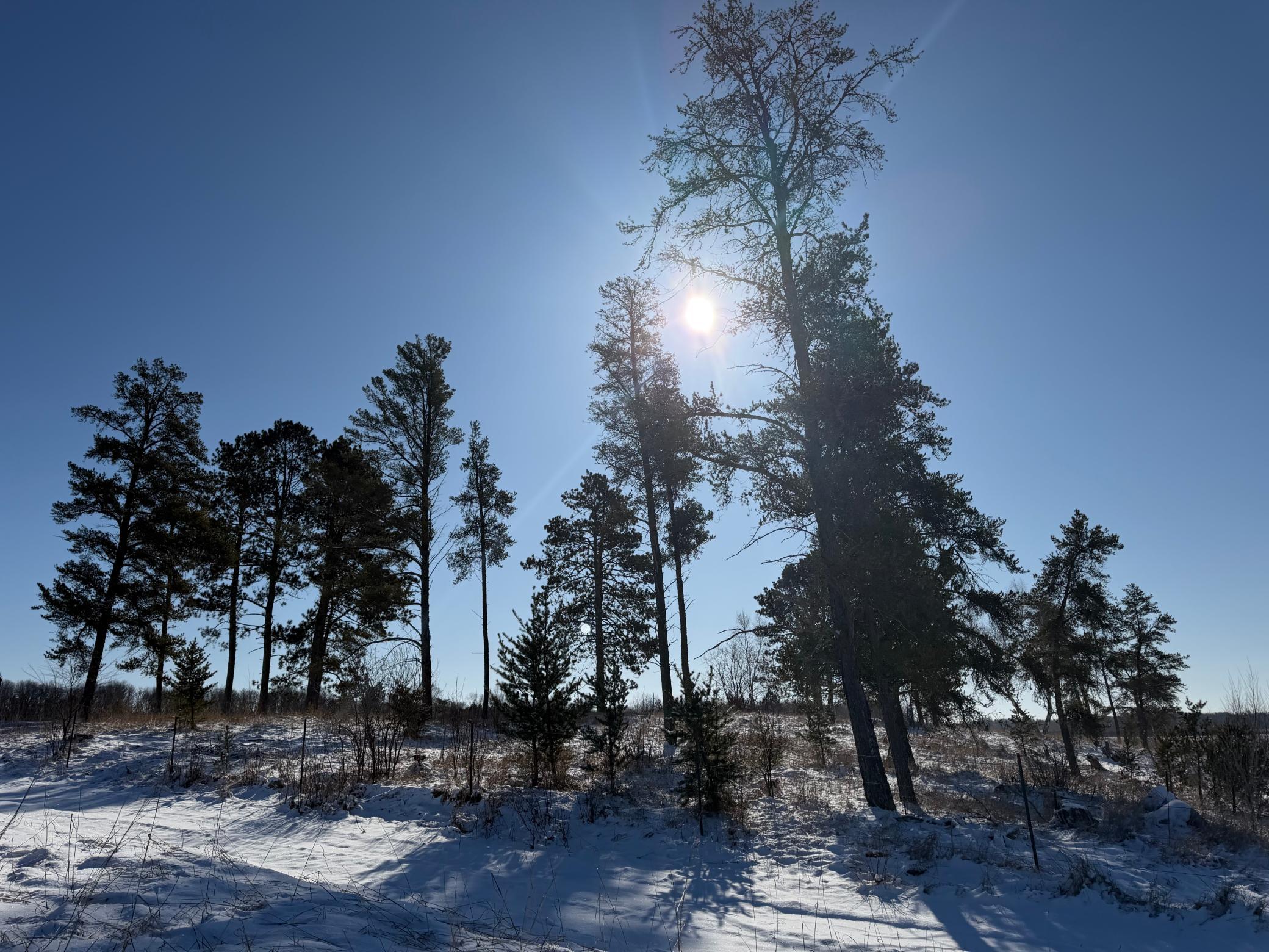 1911 land for sale at TBD County Road 14 in Sebeka, MN (photo 34 of 87)