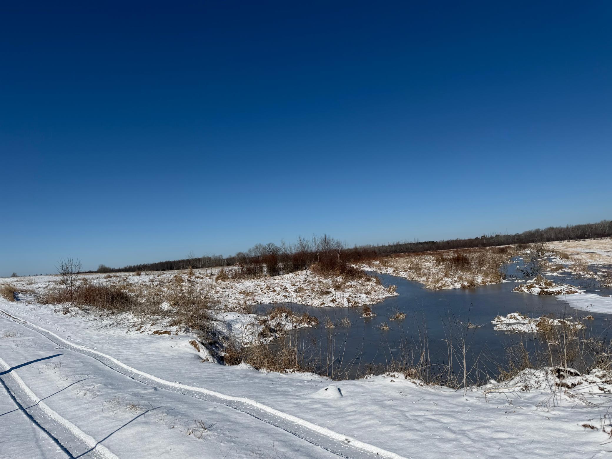 1911 land for sale at TBD County Road 14 in Sebeka, MN (photo 36 of 87)