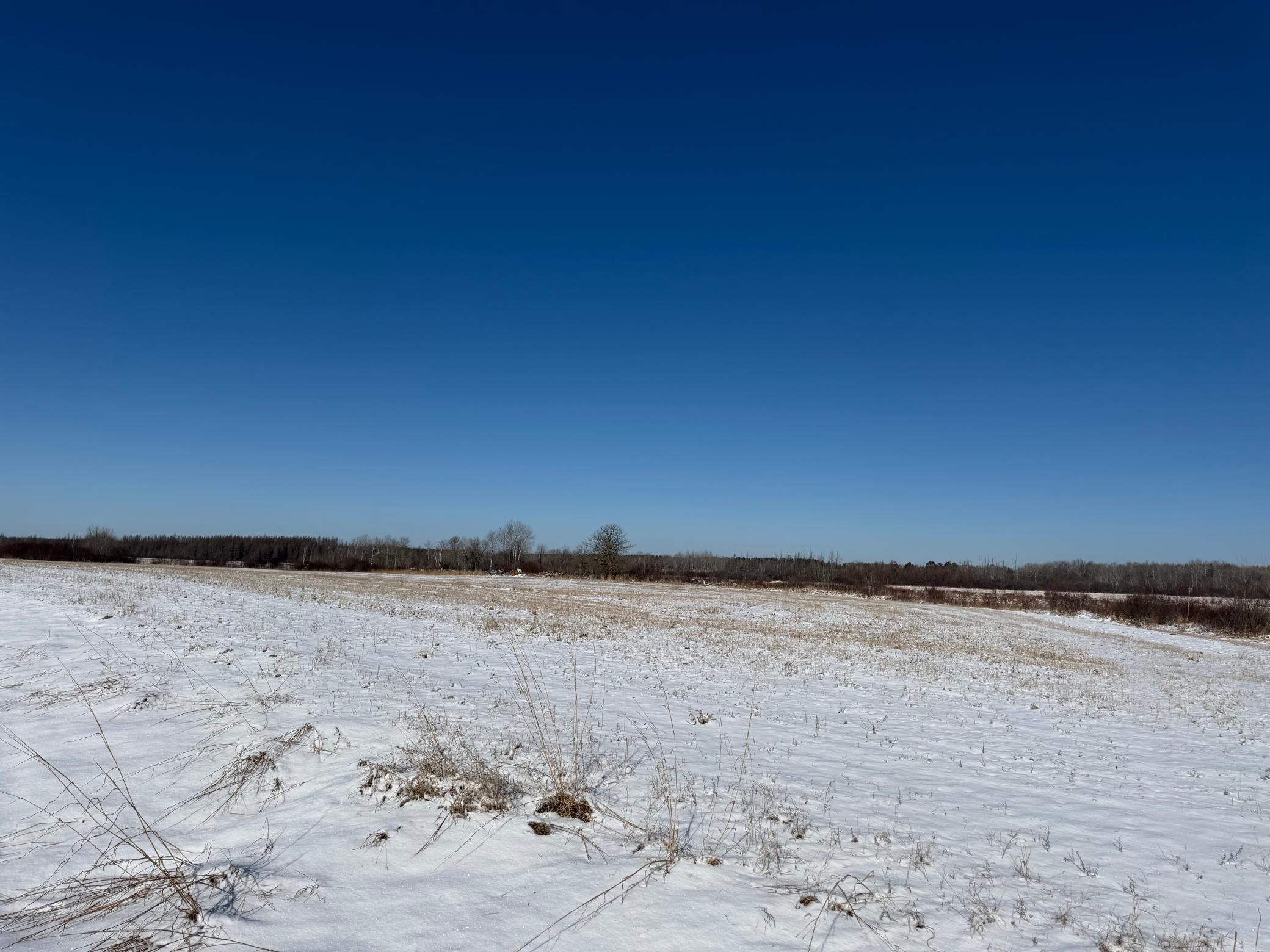 1911 land for sale at TBD County Road 14 in Sebeka, MN (photo 38 of 87)