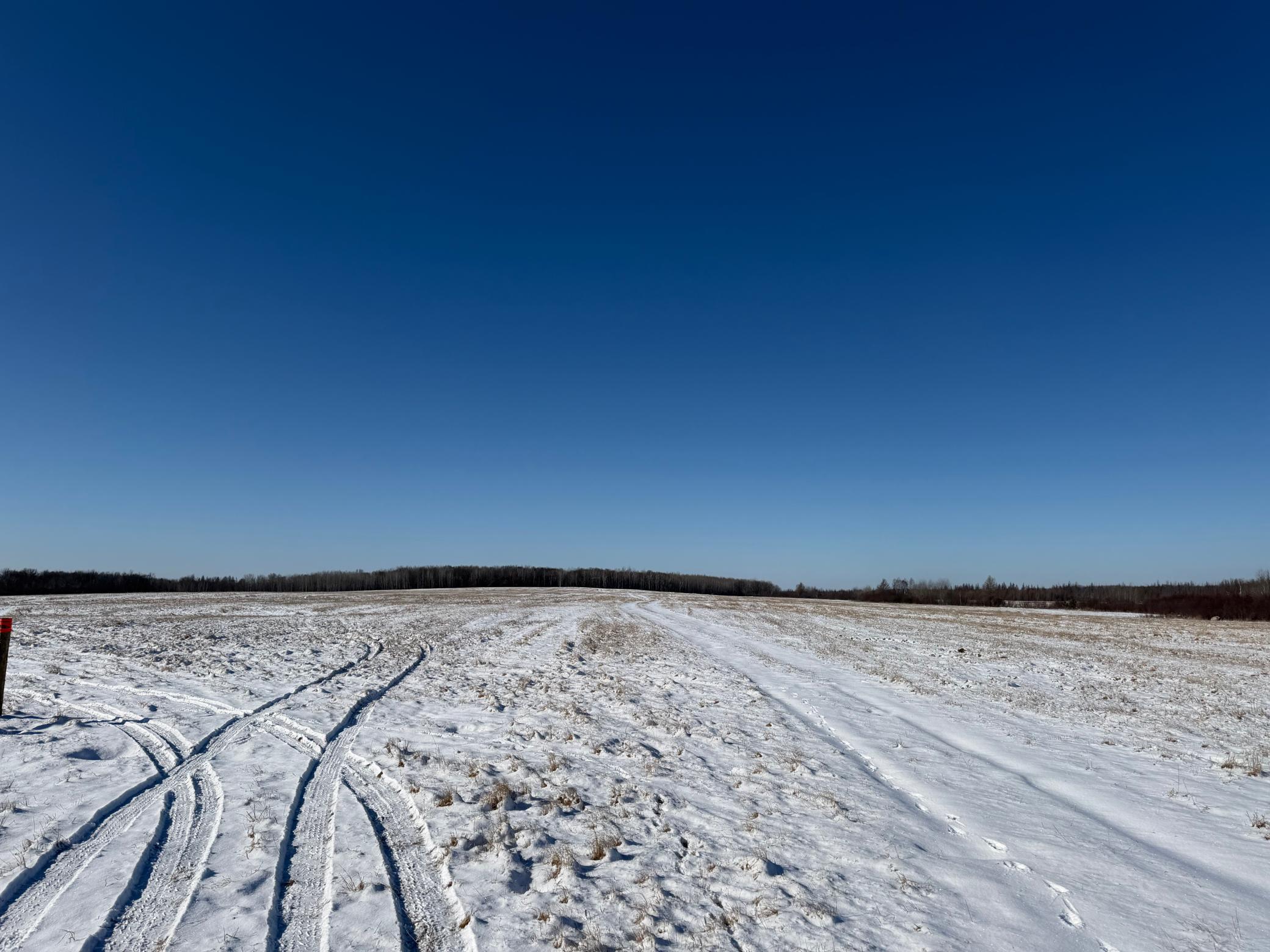 1911 land for sale at TBD County Road 14 in Sebeka, MN (photo 39 of 87)