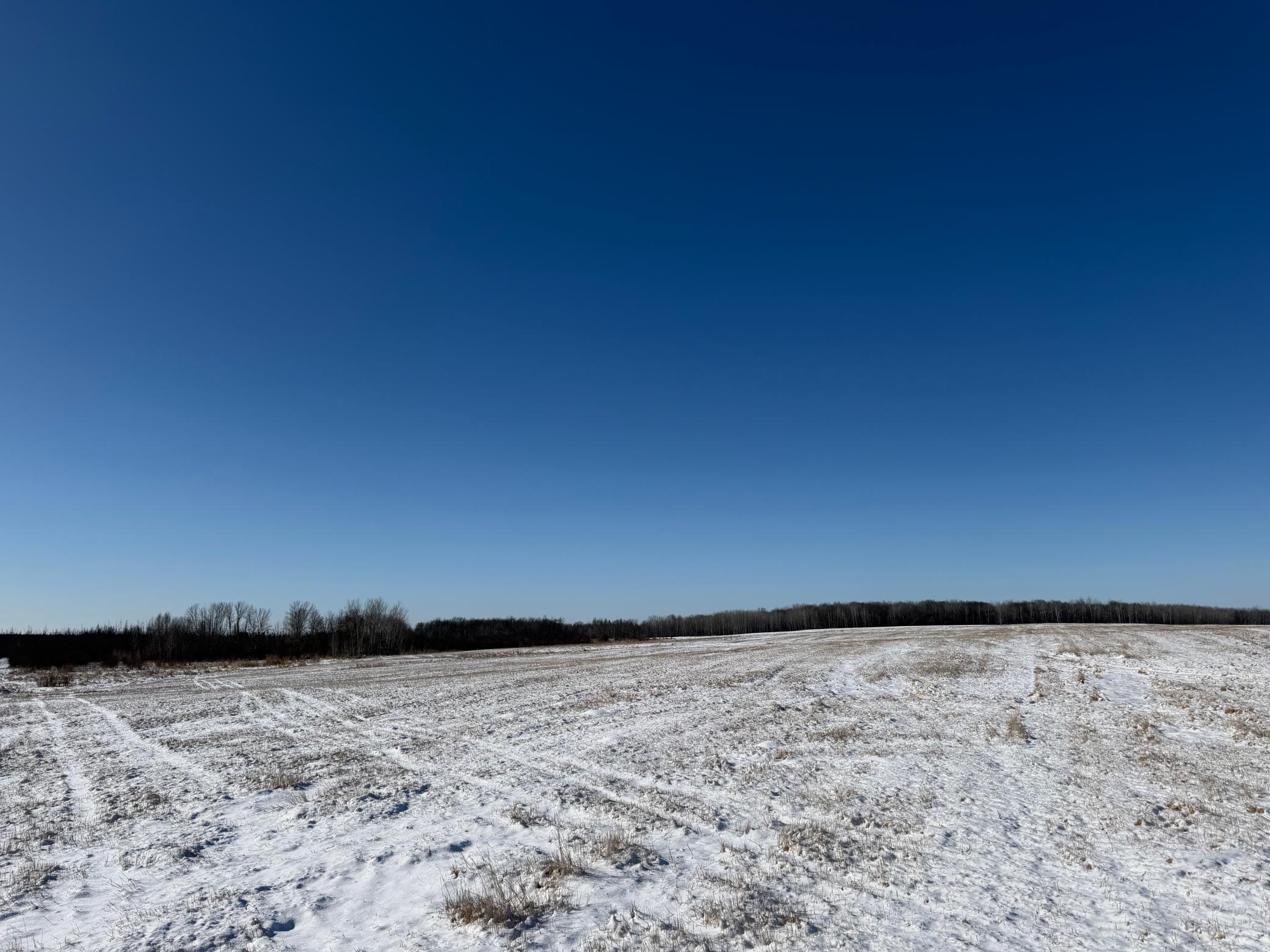 1911 land for sale at TBD County Road 14 in Sebeka, MN (photo 40 of 87)