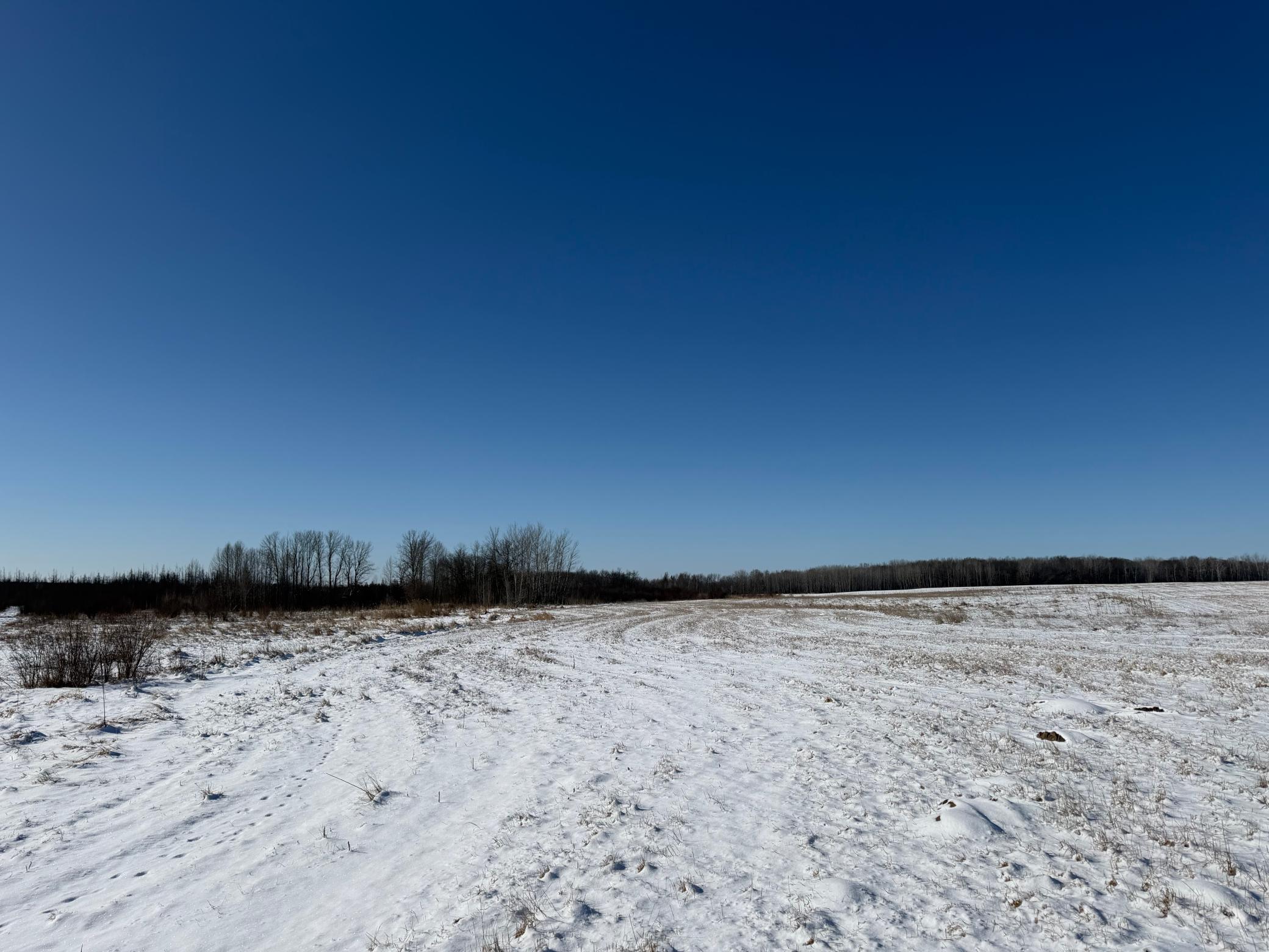 1911 land for sale at TBD County Road 14 in Sebeka, MN (photo 41 of 87)