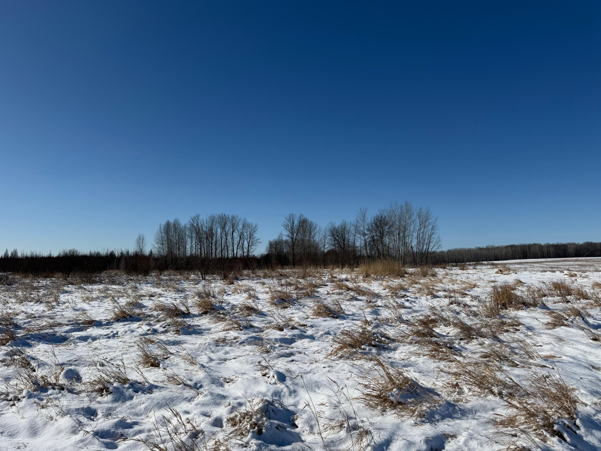 1911 land for sale at TBD County Road 14 in Sebeka, MN (photo 42 of 87)