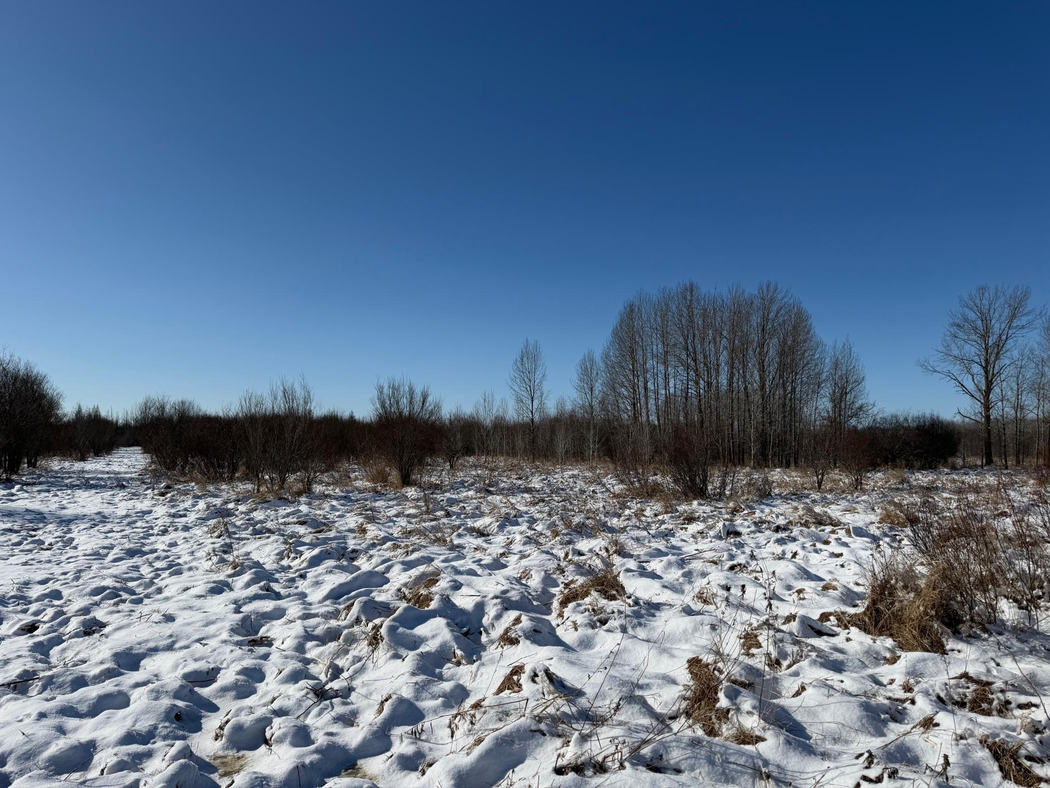 1911 land for sale at TBD County Road 14 in Sebeka, MN (photo 43 of 87)