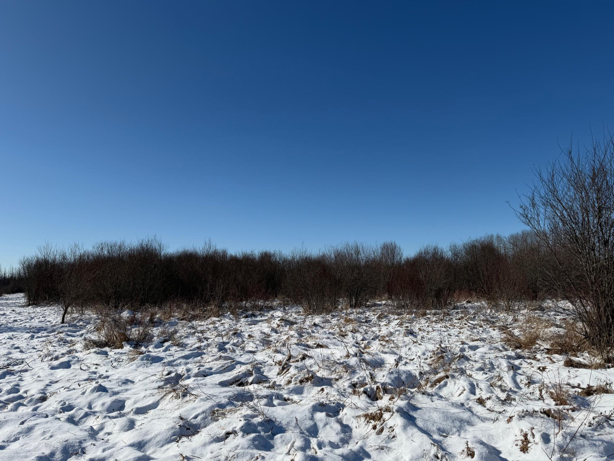 1911 land for sale at TBD County Road 14 in Sebeka, MN (photo 44 of 87)