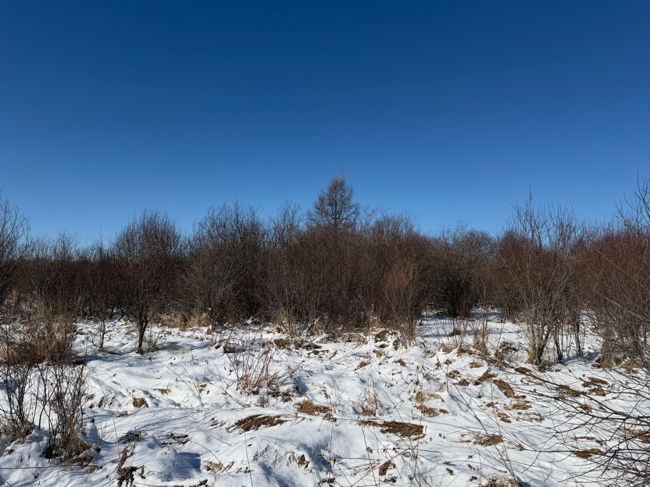 1911 land for sale at TBD County Road 14 in Sebeka, MN (photo 47 of 87)