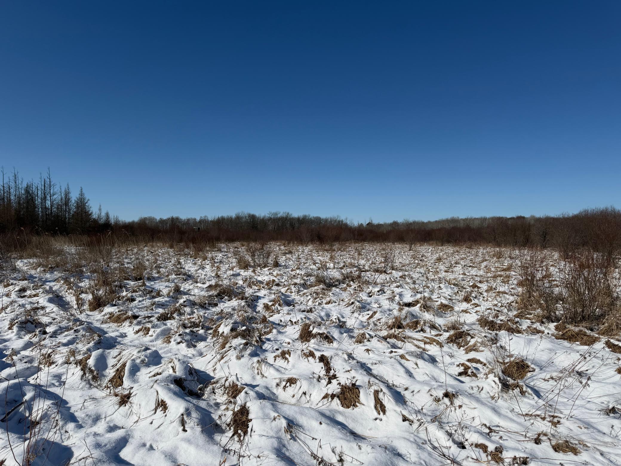 1911 land for sale at TBD County Road 14 in Sebeka, MN (photo 48 of 87)