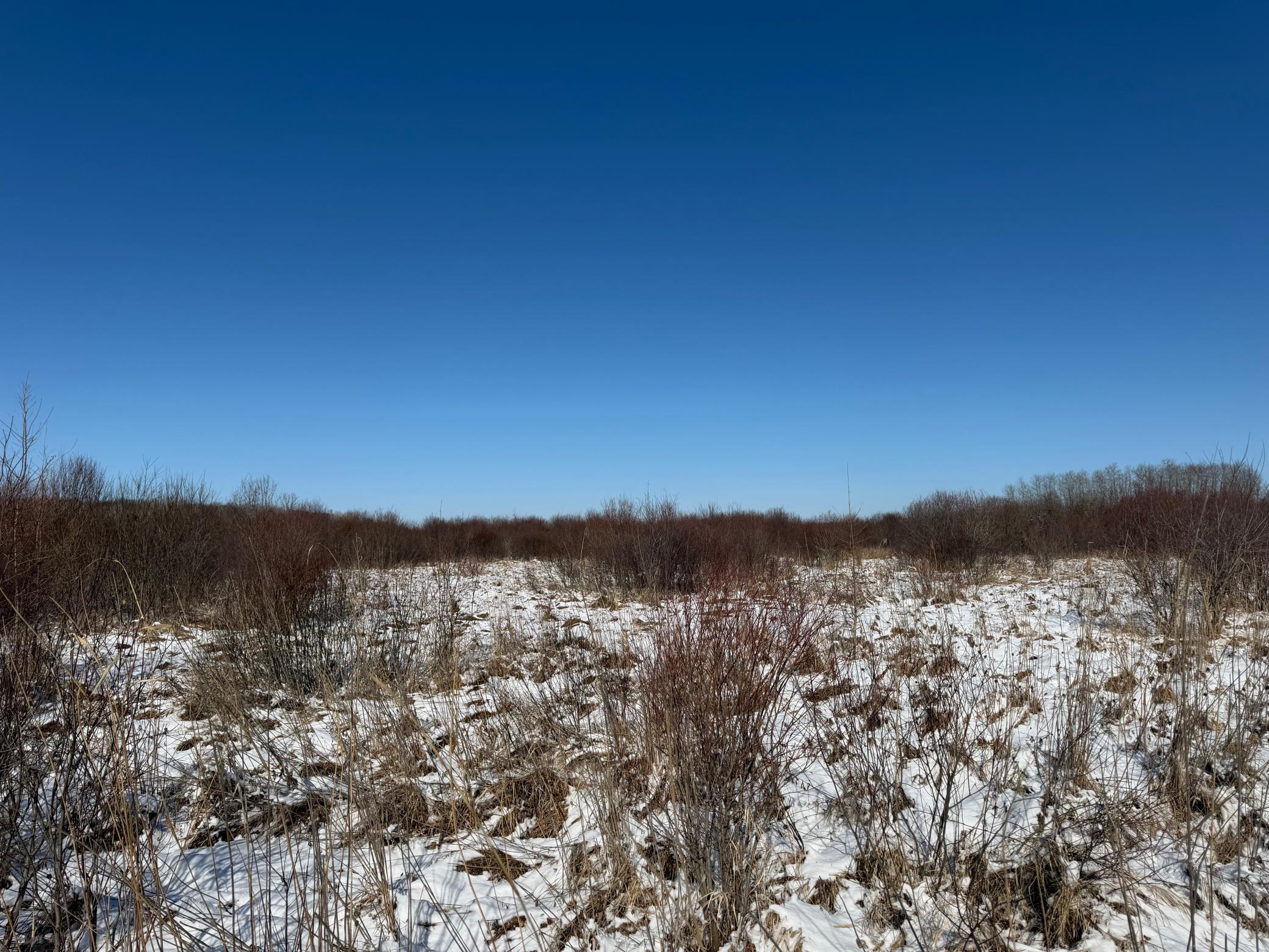 1911 land for sale at TBD County Road 14 in Sebeka, MN (photo 49 of 87)