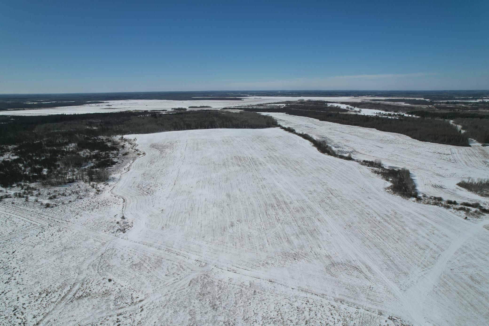 1911 land for sale at TBD County Road 14 in Sebeka, MN (photo 6 of 87)