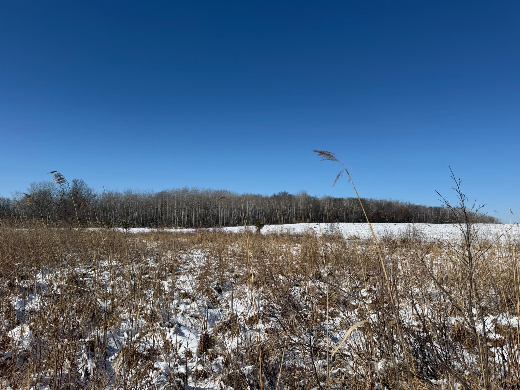1911 land for sale at TBD County Road 14 in Sebeka, MN (photo 52 of 87)