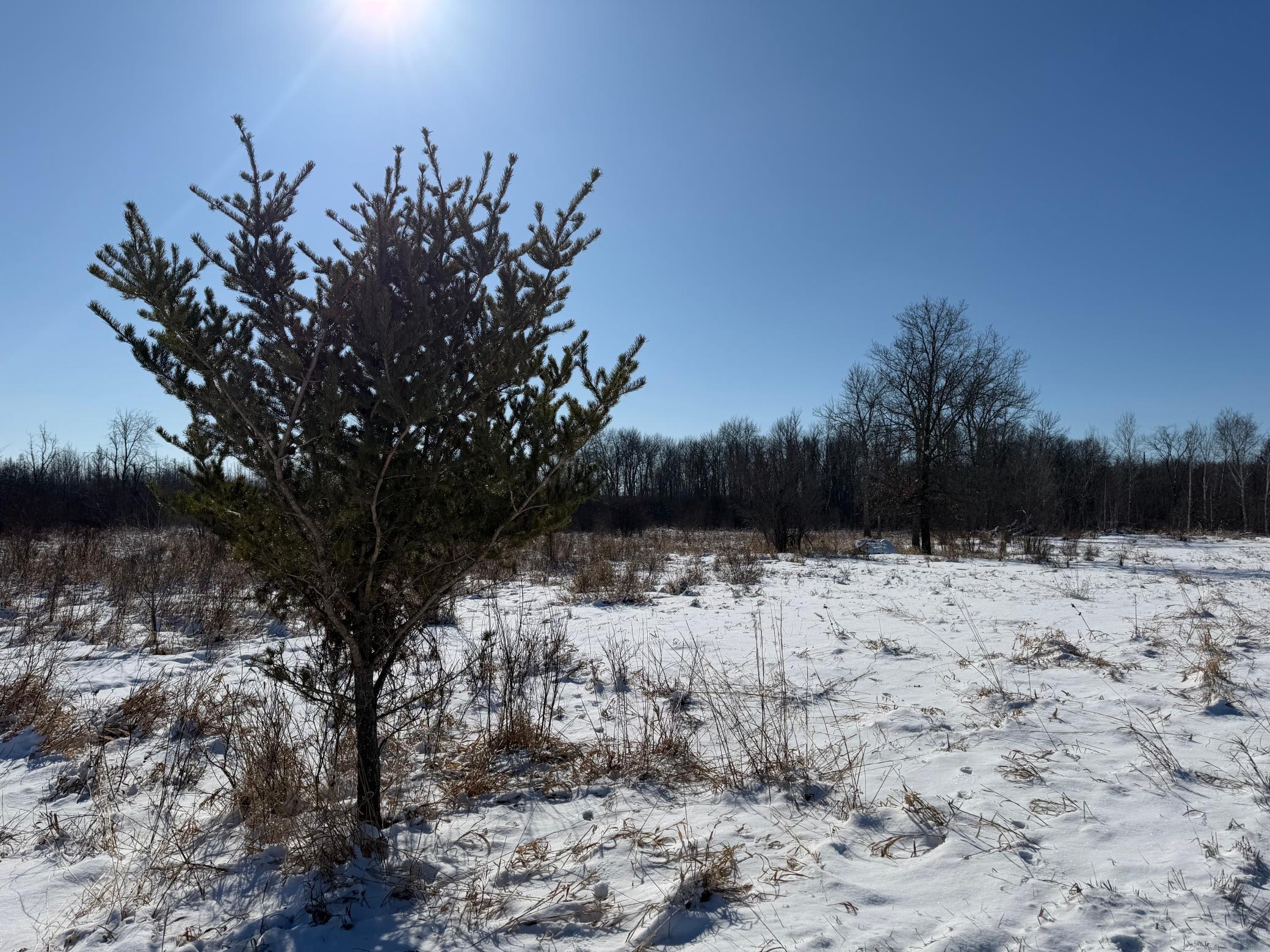 1911 land for sale at TBD County Road 14 in Sebeka, MN (photo 53 of 87)