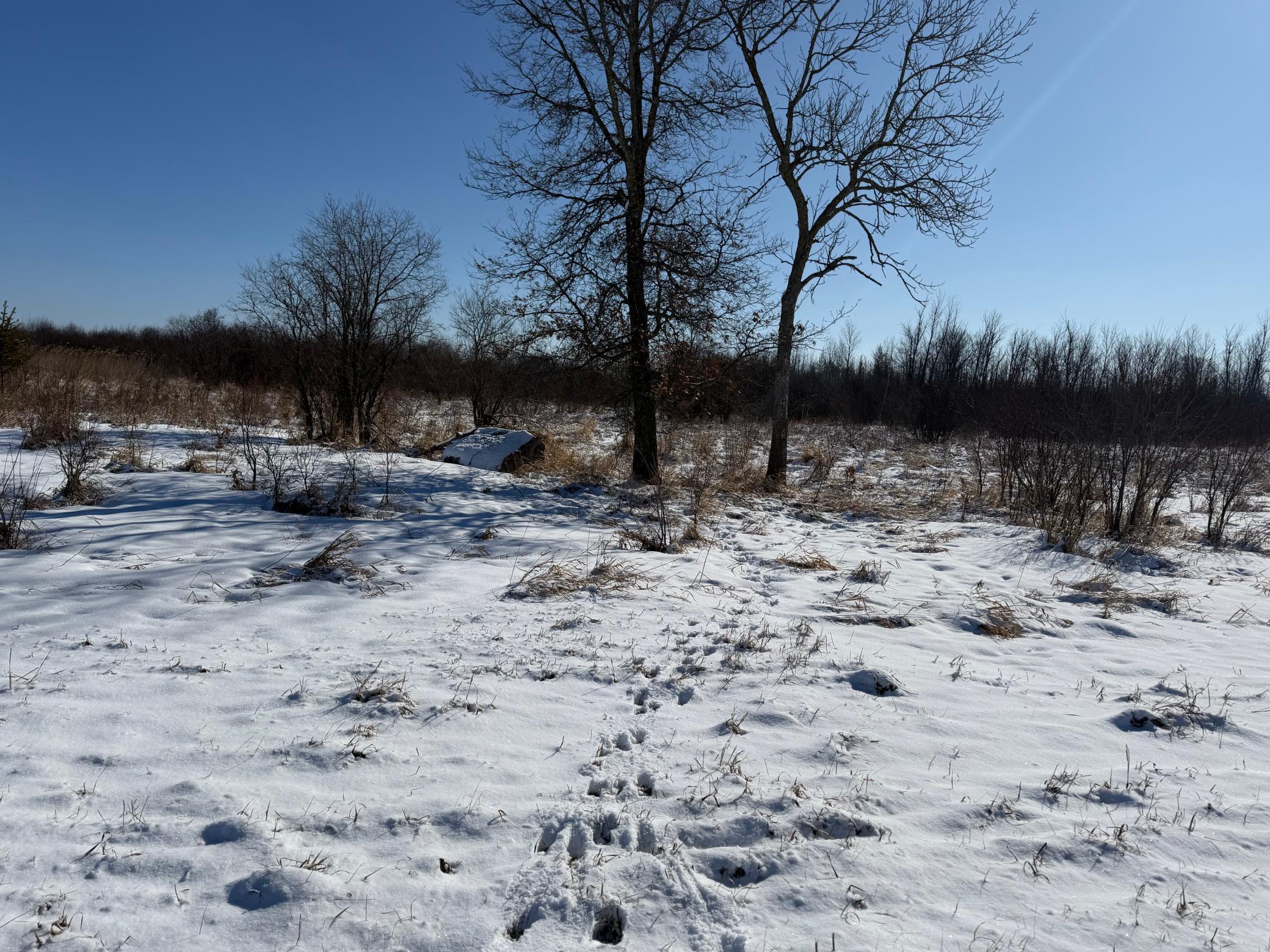1911 land for sale at TBD County Road 14 in Sebeka, MN (photo 54 of 87)