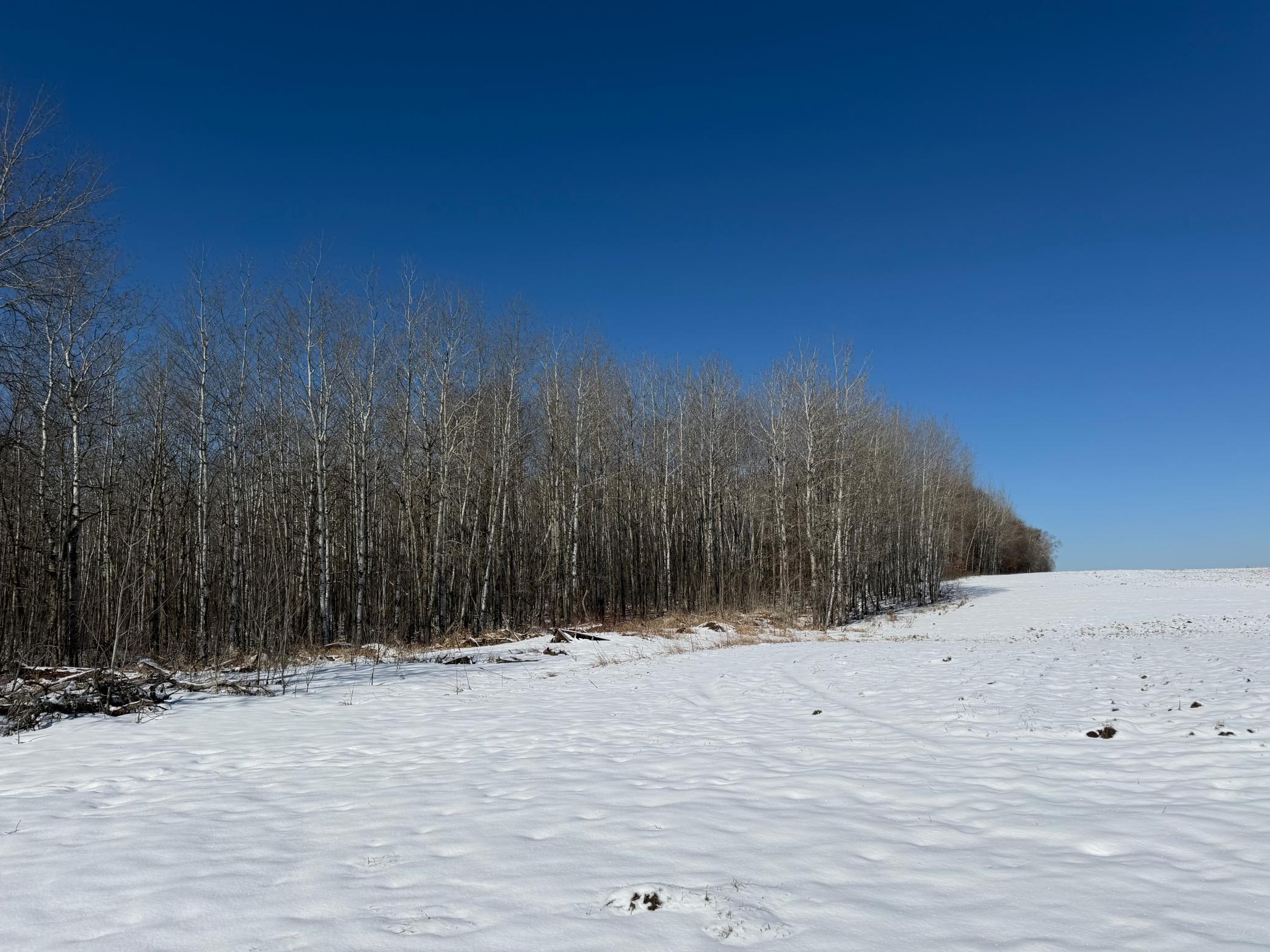 1911 land for sale at TBD County Road 14 in Sebeka, MN (photo 55 of 87)
