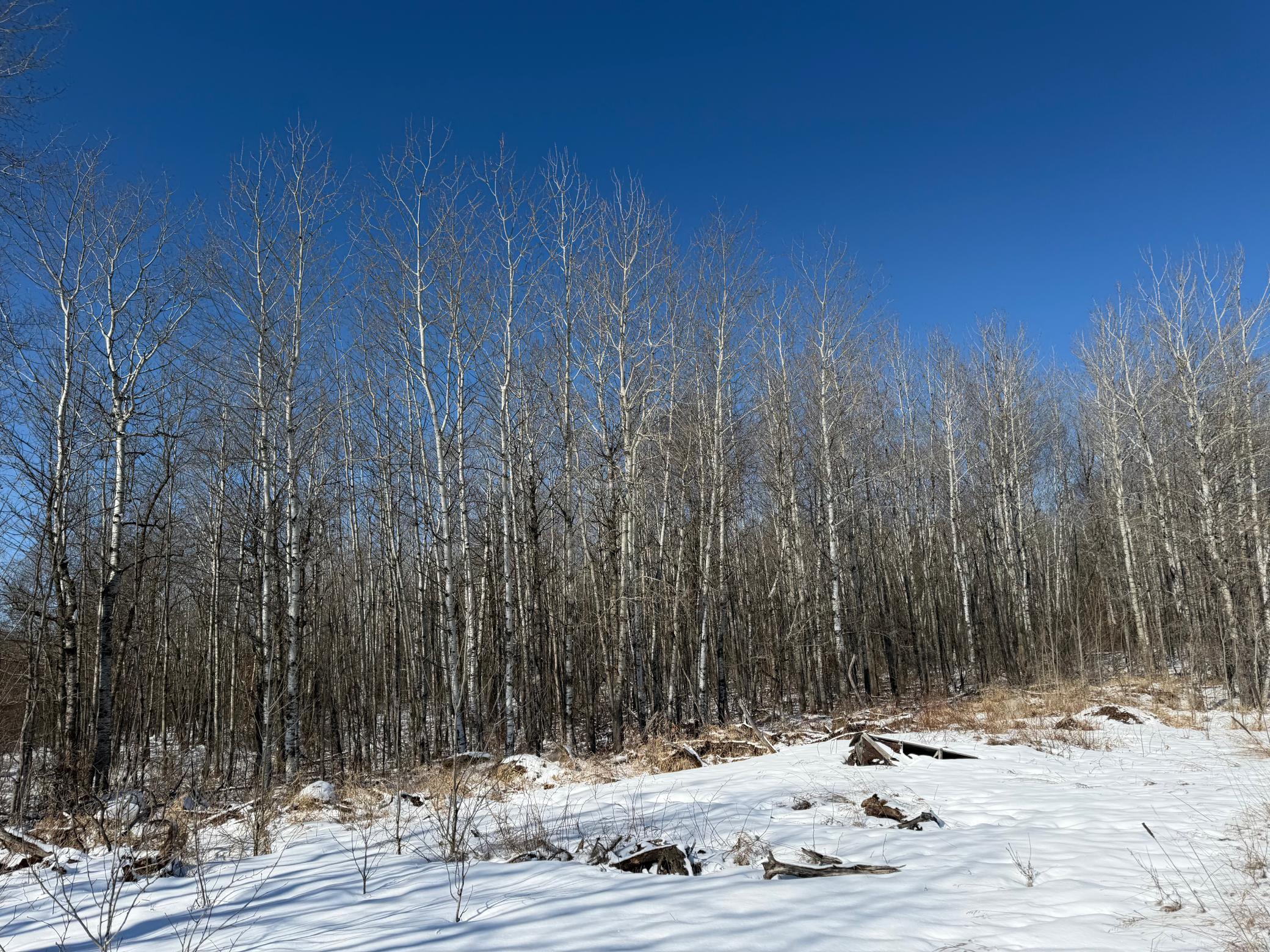 1911 land for sale at TBD County Road 14 in Sebeka, MN (photo 56 of 87)