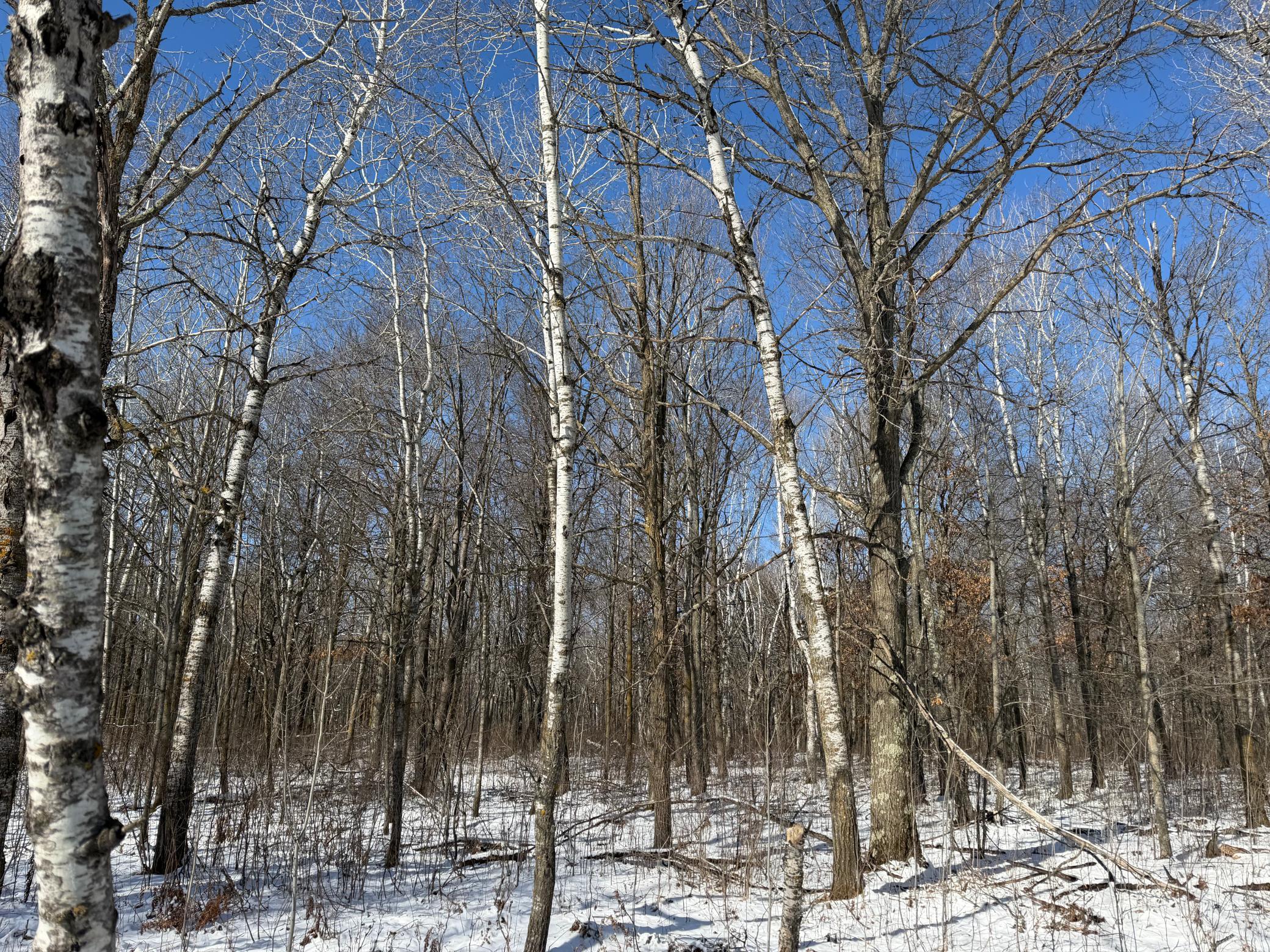 1911 land for sale at TBD County Road 14 in Sebeka, MN (photo 57 of 87)