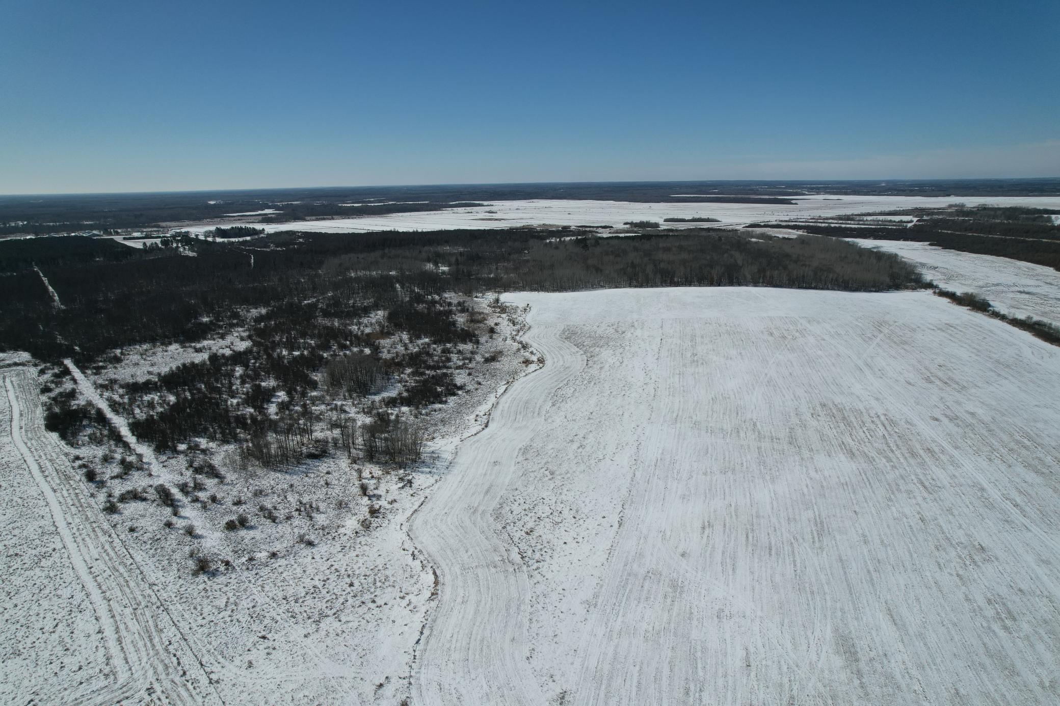 1911 land for sale at TBD County Road 14 in Sebeka, MN (photo 7 of 87)