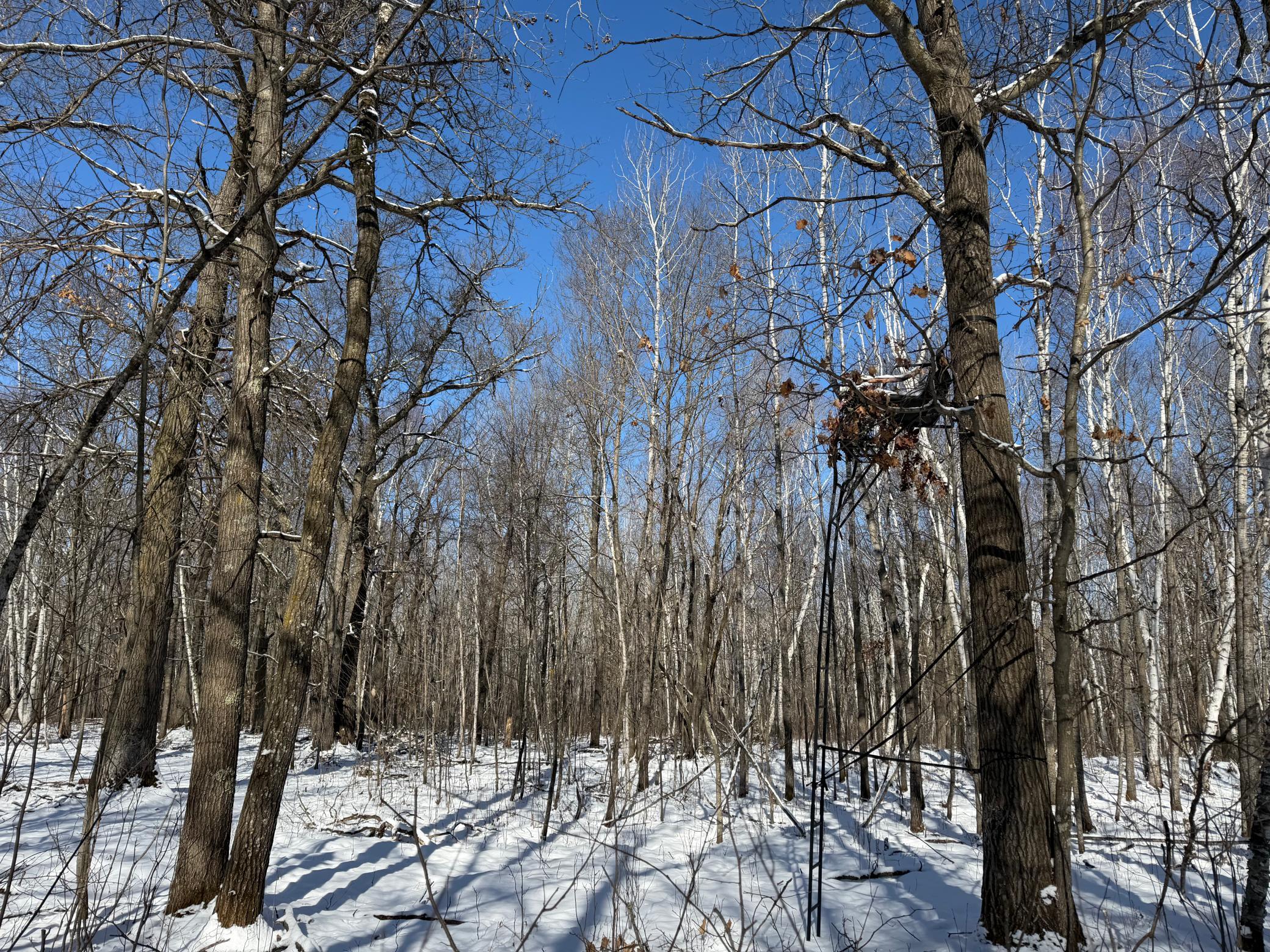 1911 land for sale at TBD County Road 14 in Sebeka, MN (photo 62 of 87)