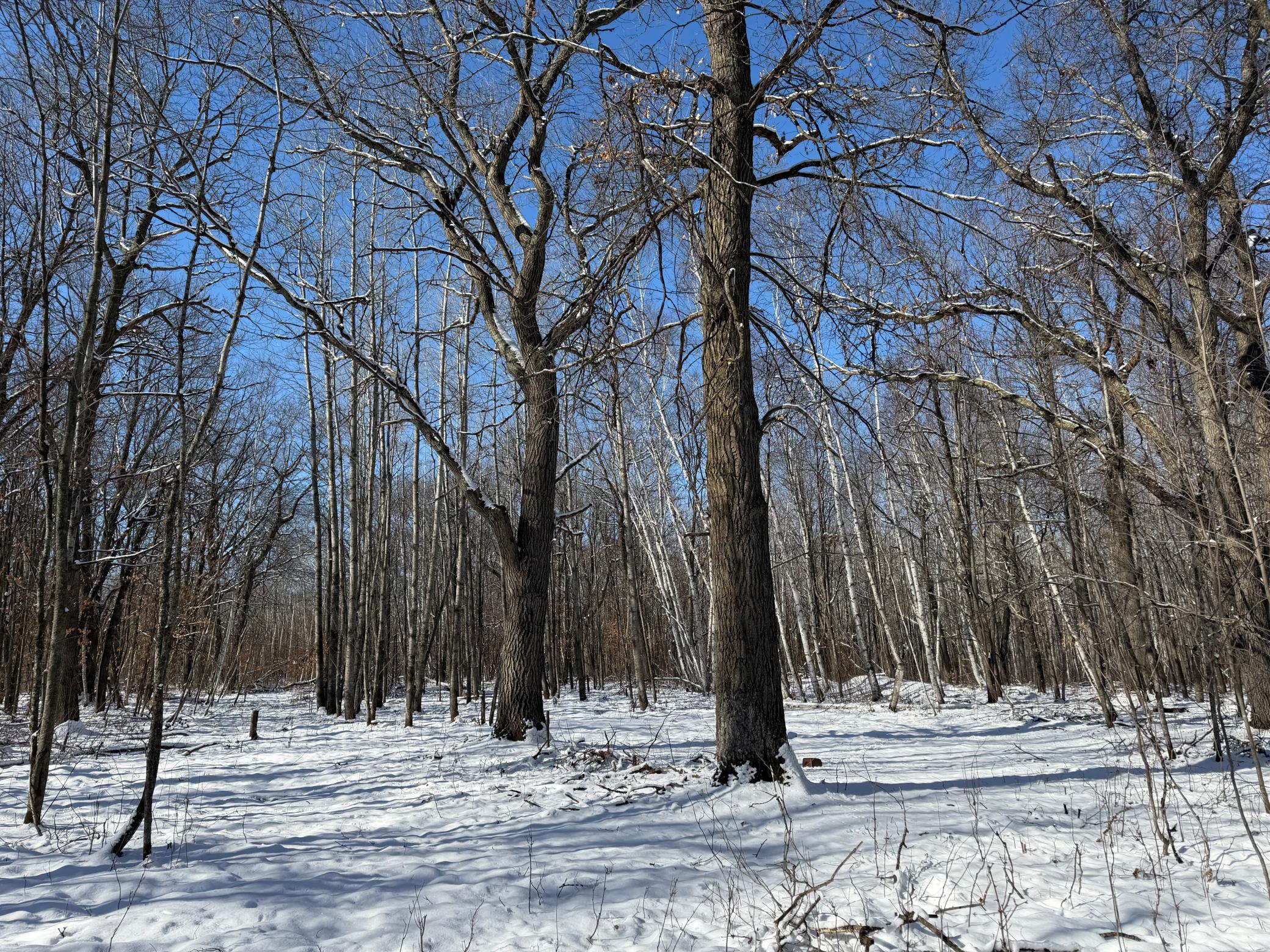 1911 land for sale at TBD County Road 14 in Sebeka, MN (photo 63 of 87)