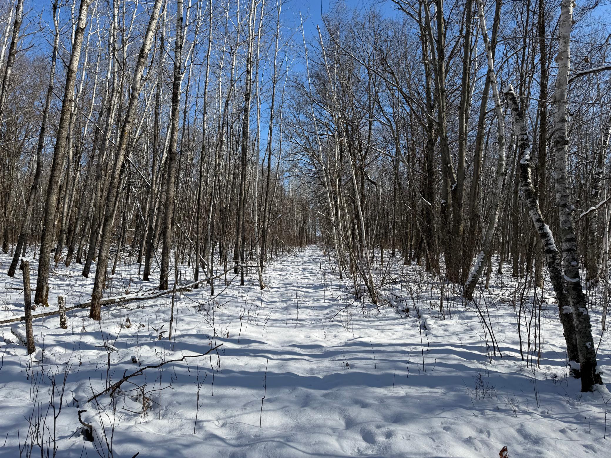1911 land for sale at TBD County Road 14 in Sebeka, MN (photo 64 of 87)