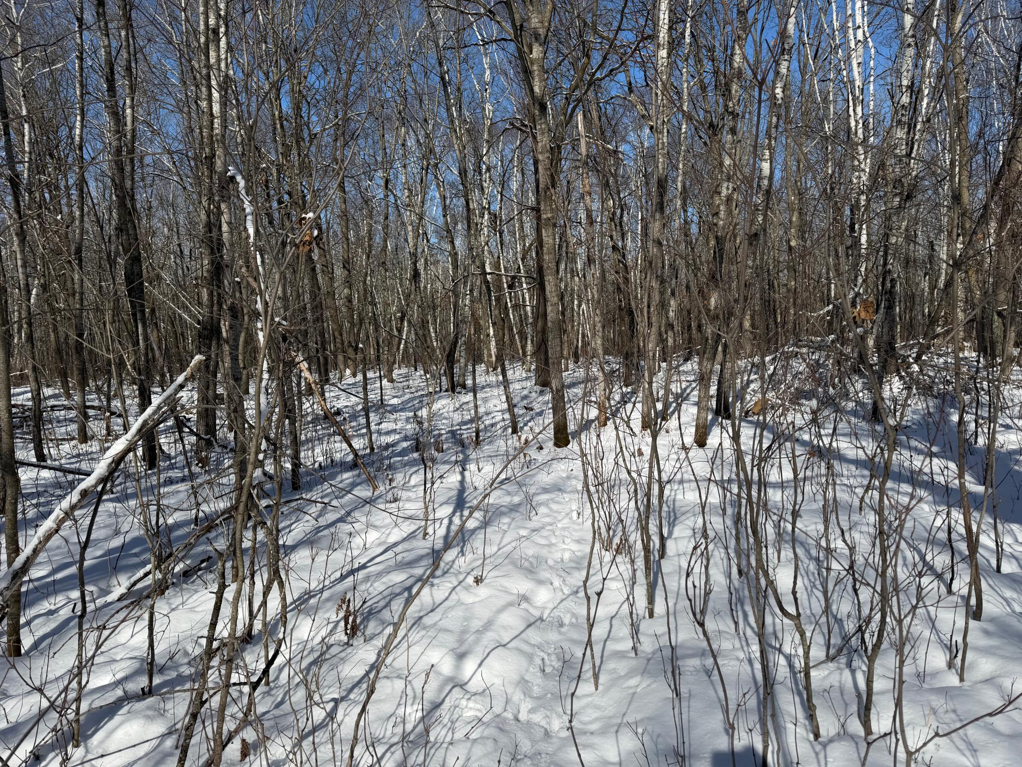 1911 land for sale at TBD County Road 14 in Sebeka, MN (photo 65 of 87)