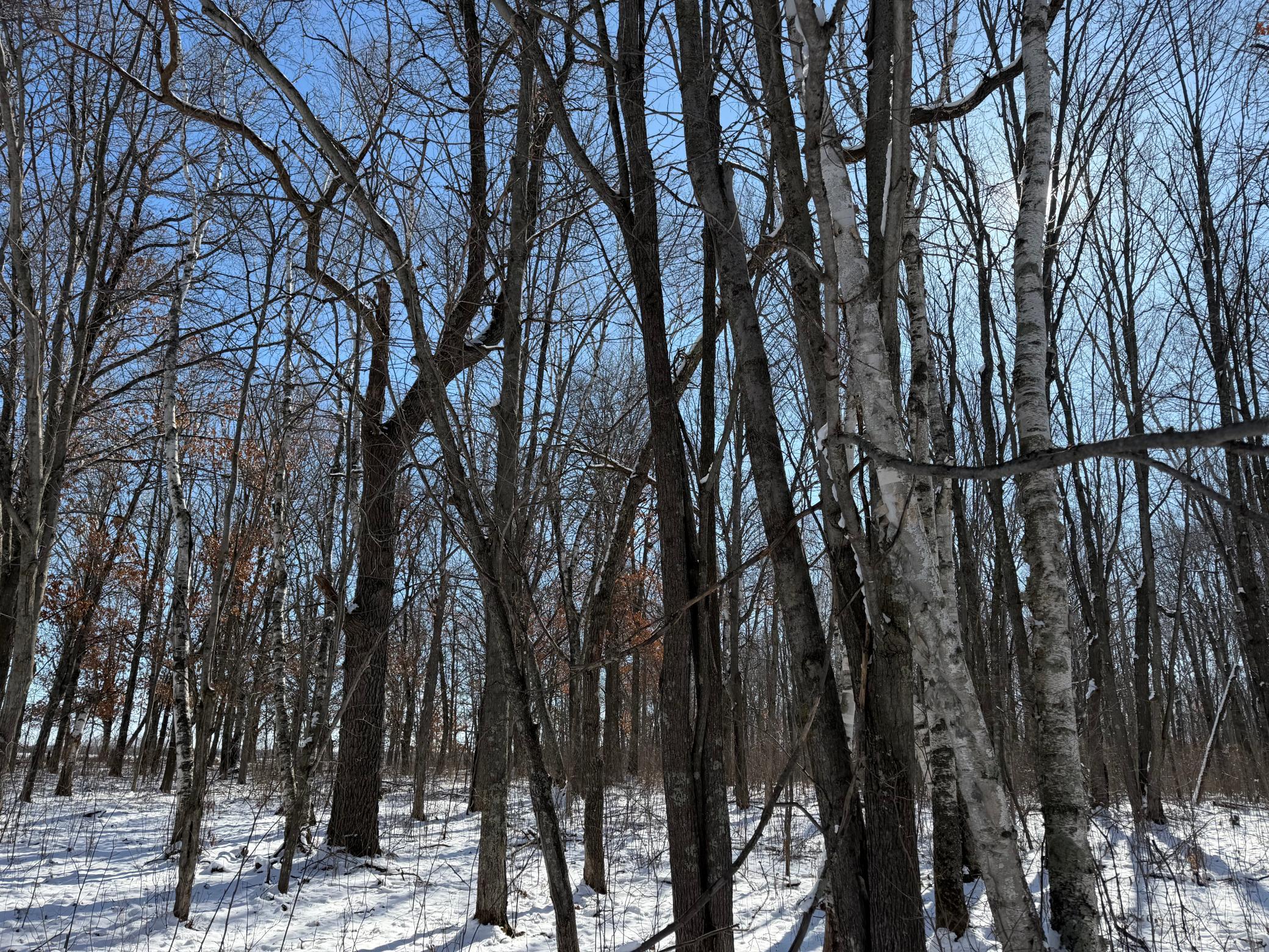 1911 land for sale at TBD County Road 14 in Sebeka, MN (photo 66 of 87)
