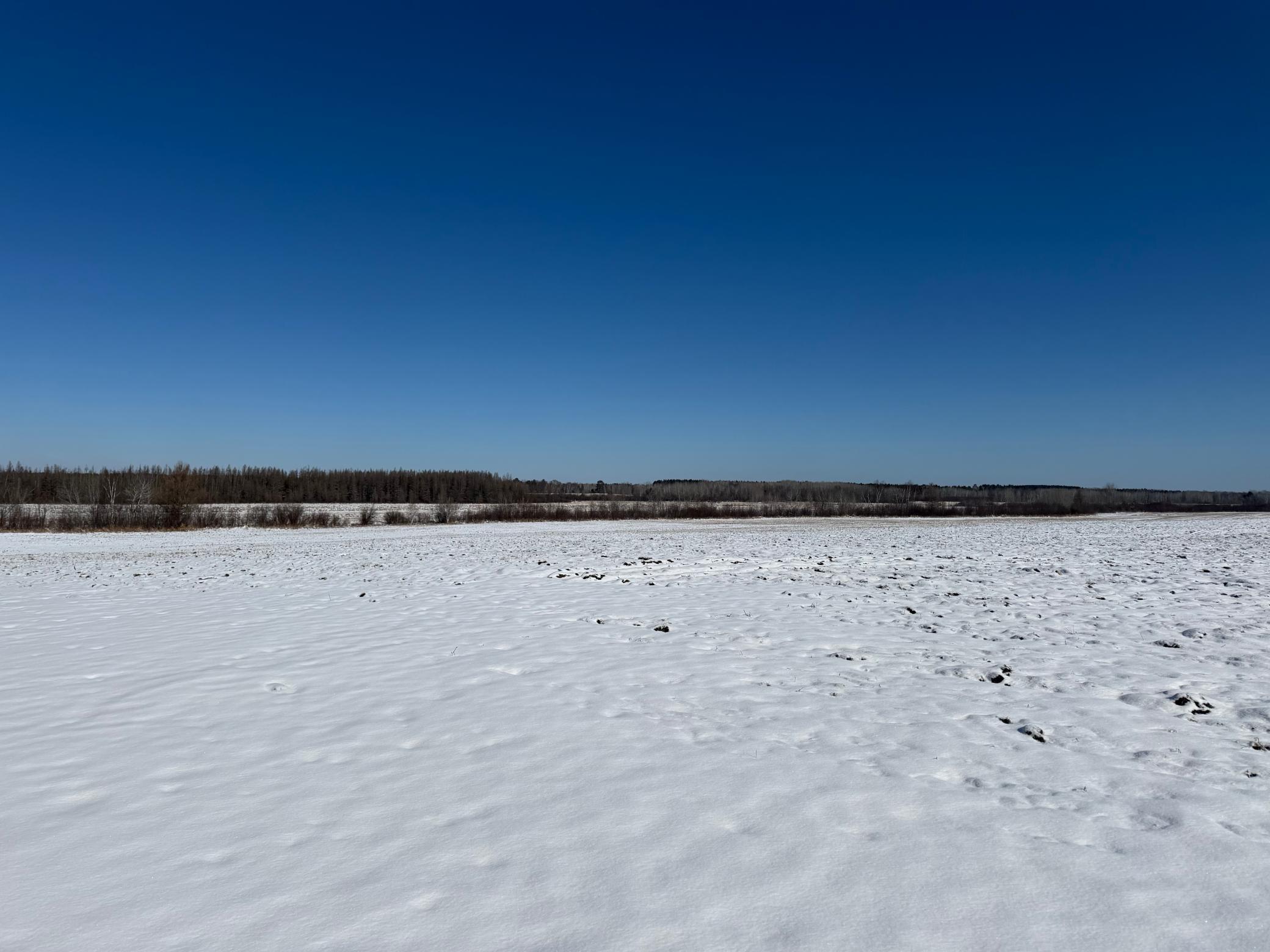 1911 land for sale at TBD County Road 14 in Sebeka, MN (photo 67 of 87)