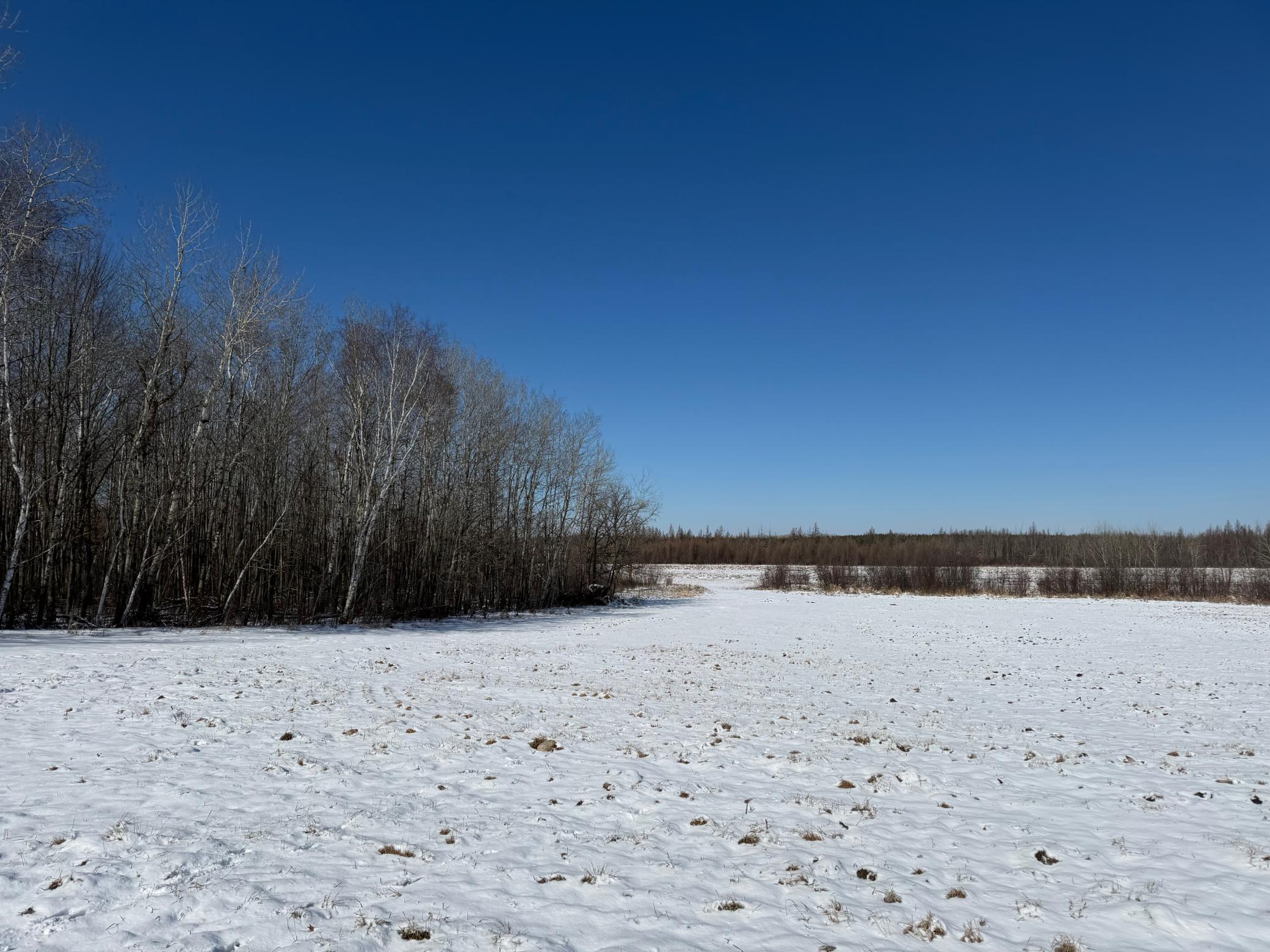 1911 land for sale at TBD County Road 14 in Sebeka, MN (photo 68 of 87)