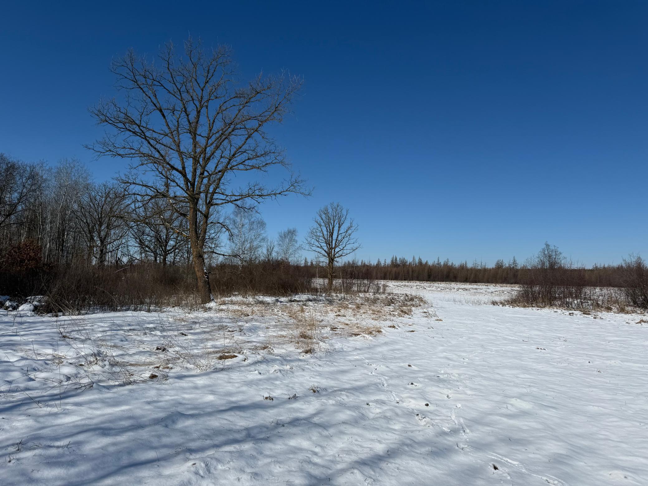1911 land for sale at TBD County Road 14 in Sebeka, MN (photo 69 of 87)