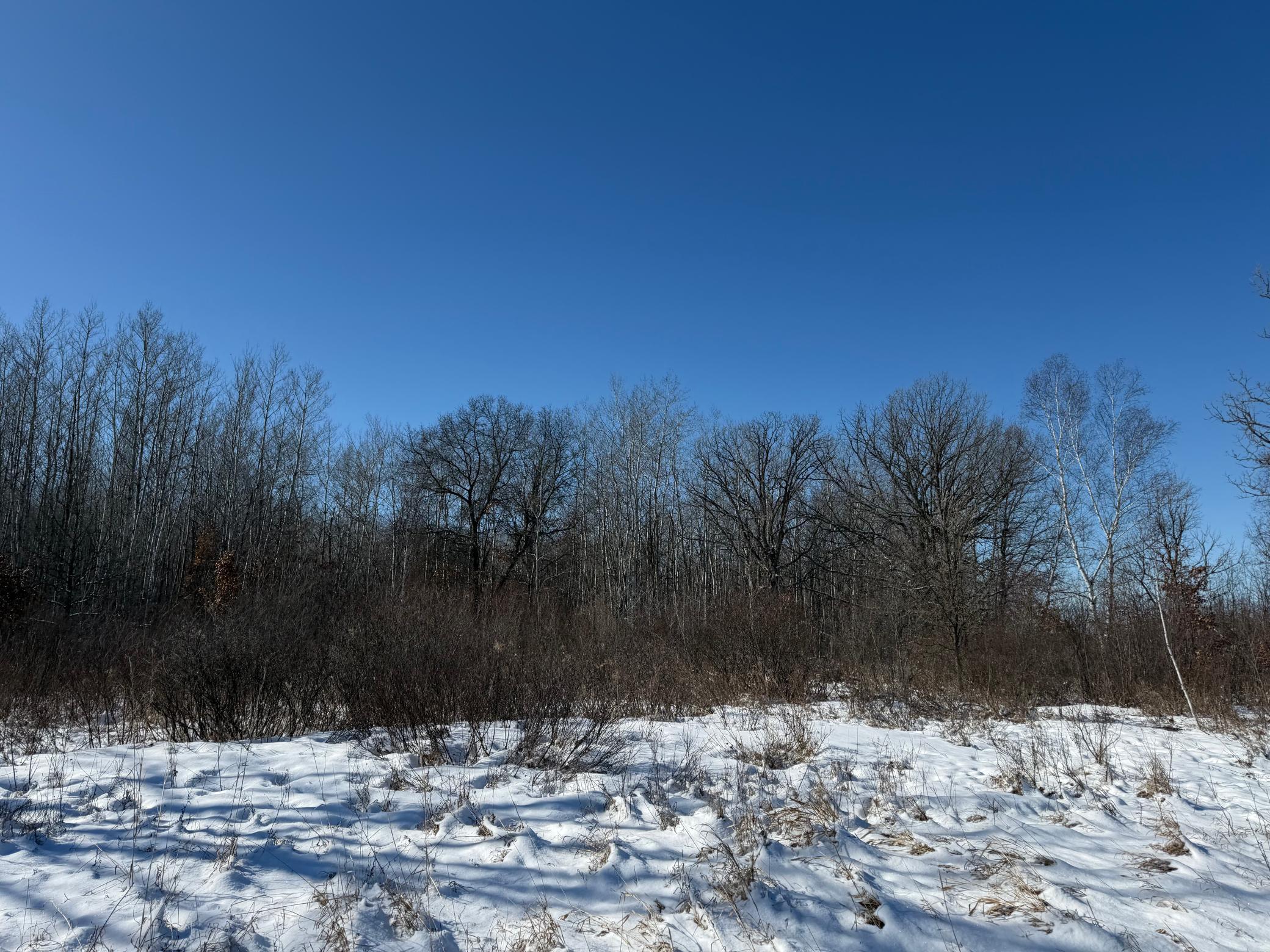 1911 land for sale at TBD County Road 14 in Sebeka, MN (photo 70 of 87)