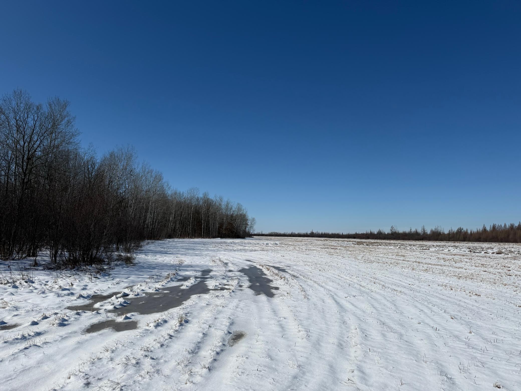 1911 land for sale at TBD County Road 14 in Sebeka, MN (photo 71 of 87)
