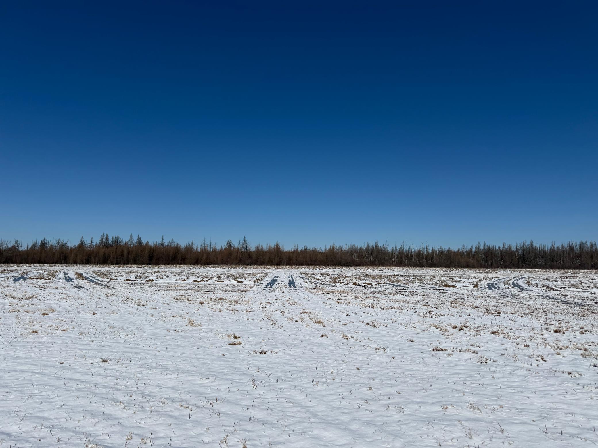 1911 land for sale at TBD County Road 14 in Sebeka, MN (photo 72 of 87)