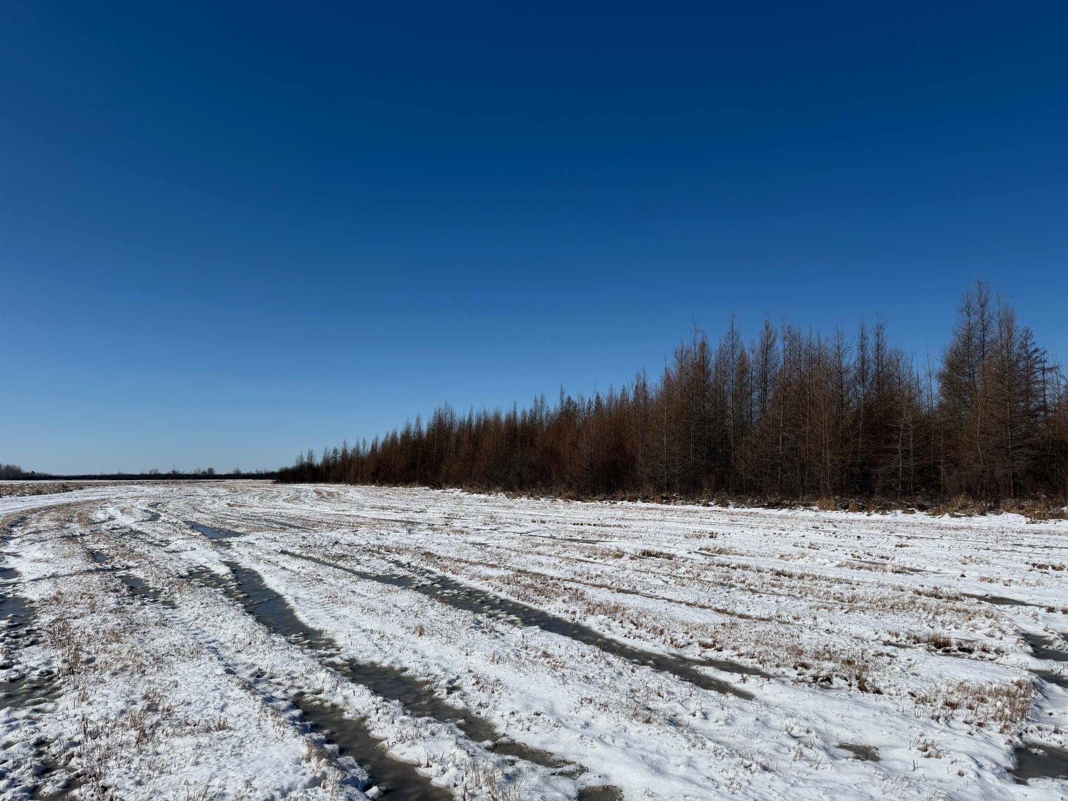 1911 land for sale at TBD County Road 14 in Sebeka, MN (photo 74 of 87)