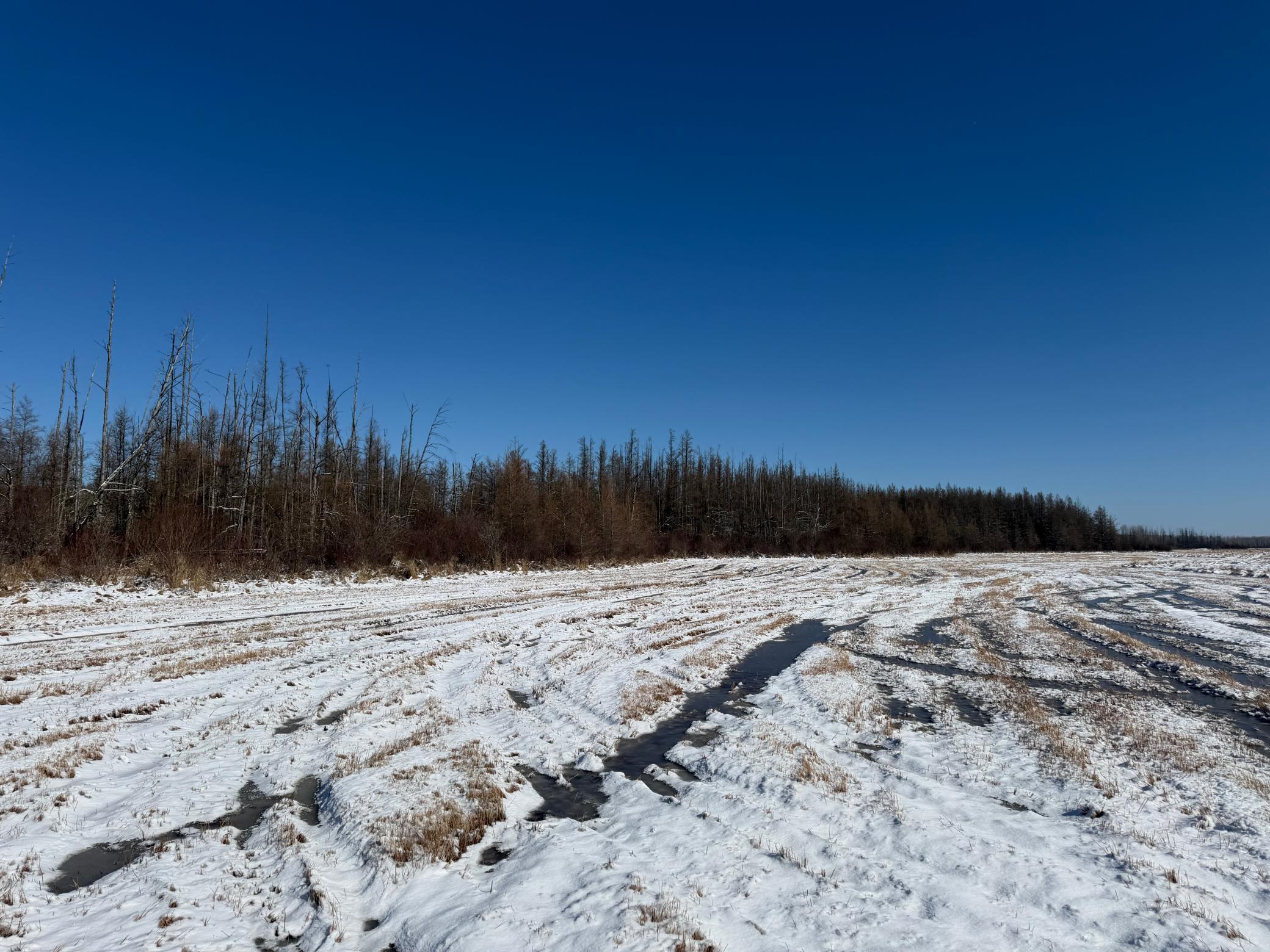1911 land for sale at TBD County Road 14 in Sebeka, MN (photo 75 of 87)
