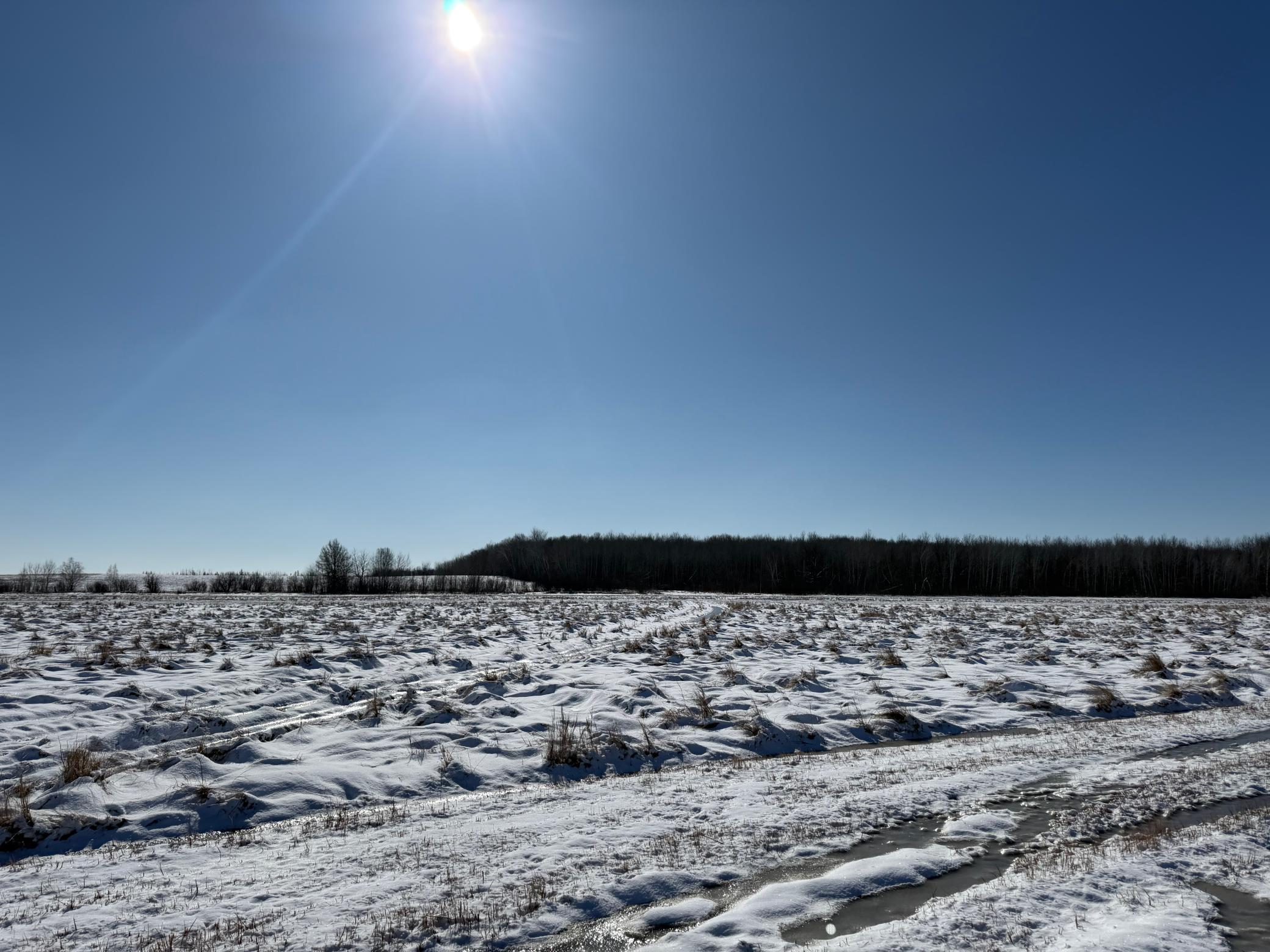 1911 land for sale at TBD County Road 14 in Sebeka, MN (photo 76 of 87)