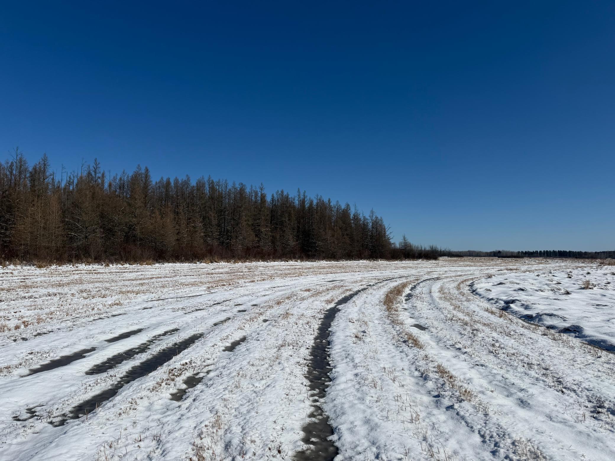 1911 land for sale at TBD County Road 14 in Sebeka, MN (photo 77 of 87)