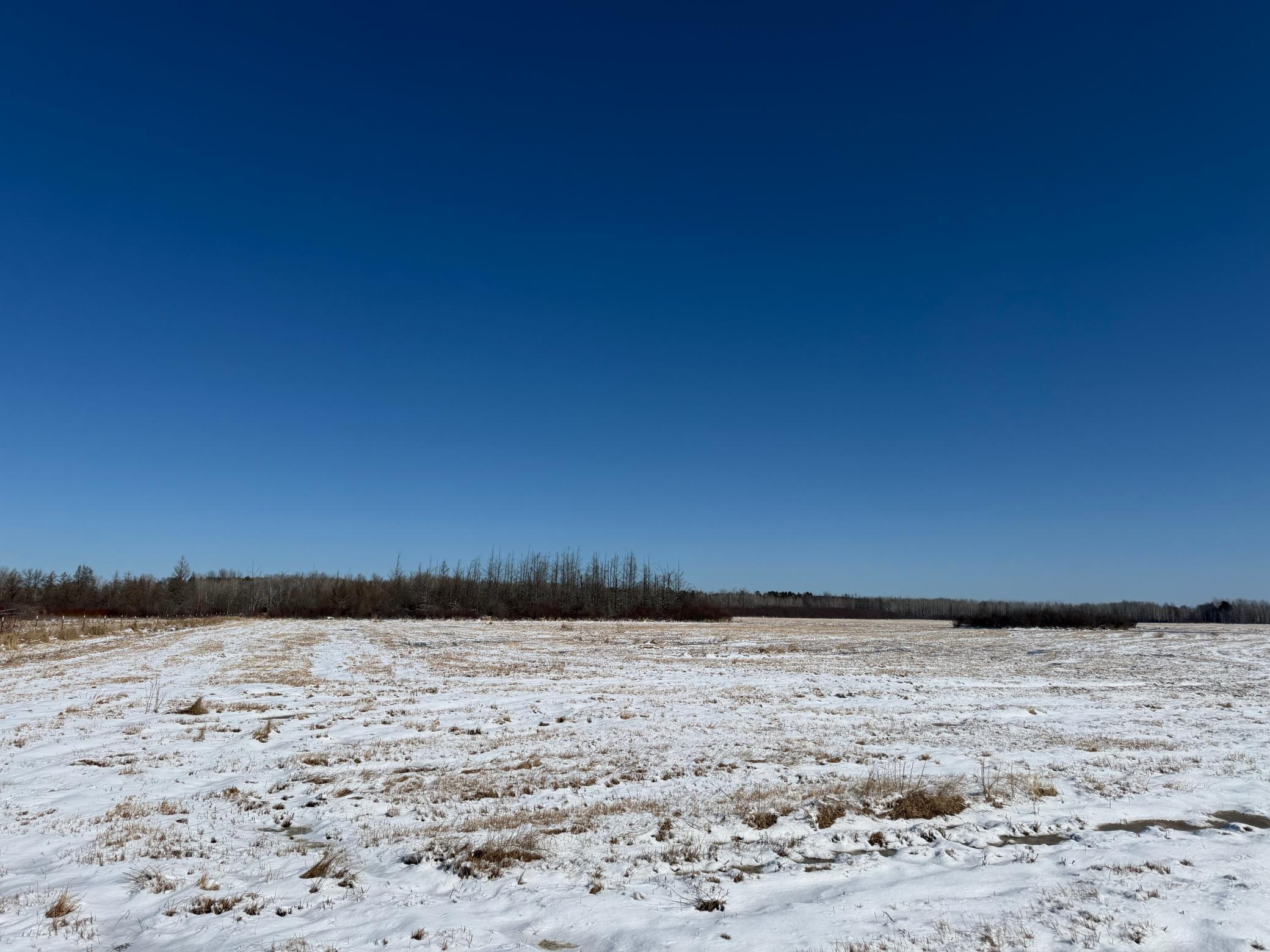 1911 land for sale at TBD County Road 14 in Sebeka, MN (photo 79 of 87)