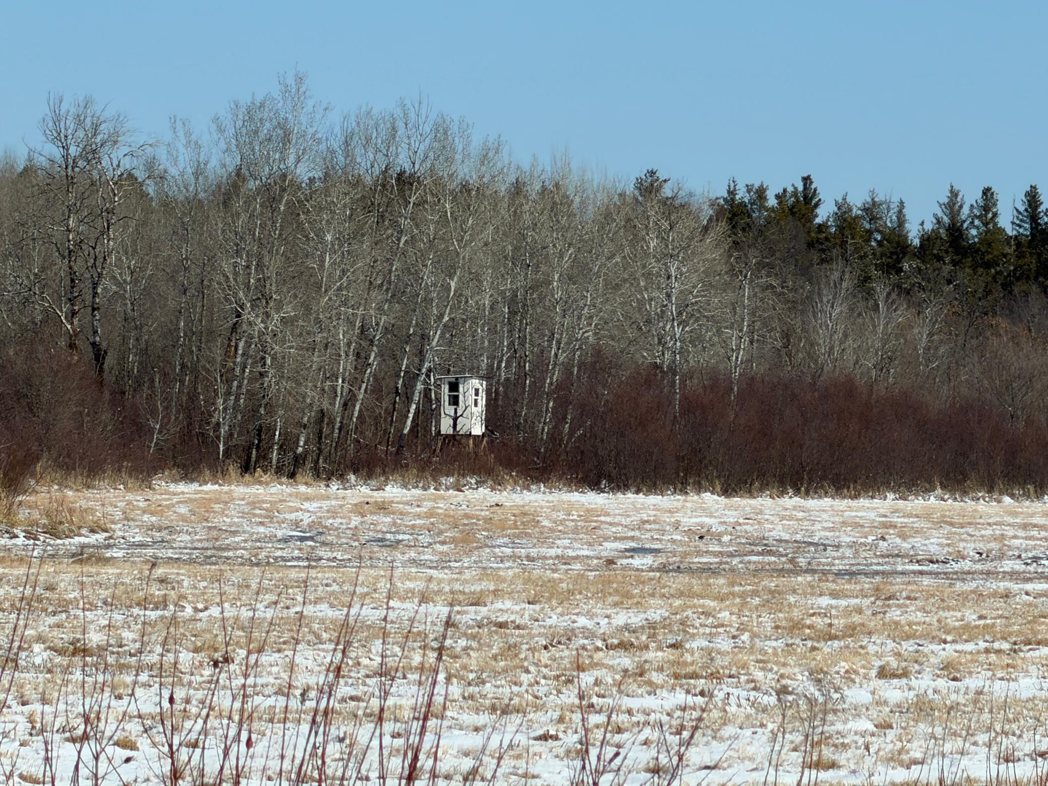 1911 land for sale at TBD County Road 14 in Sebeka, MN (photo 80 of 87)